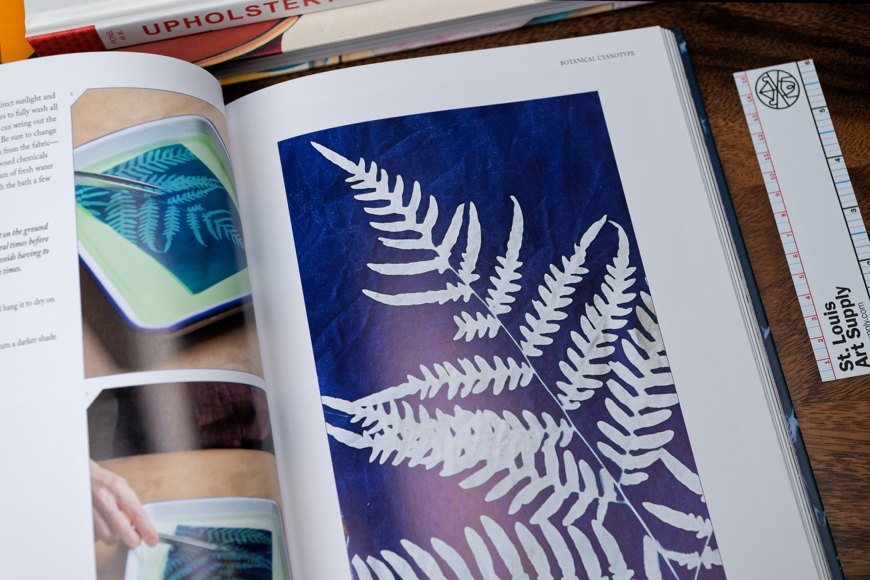 Botanical Cyanotype