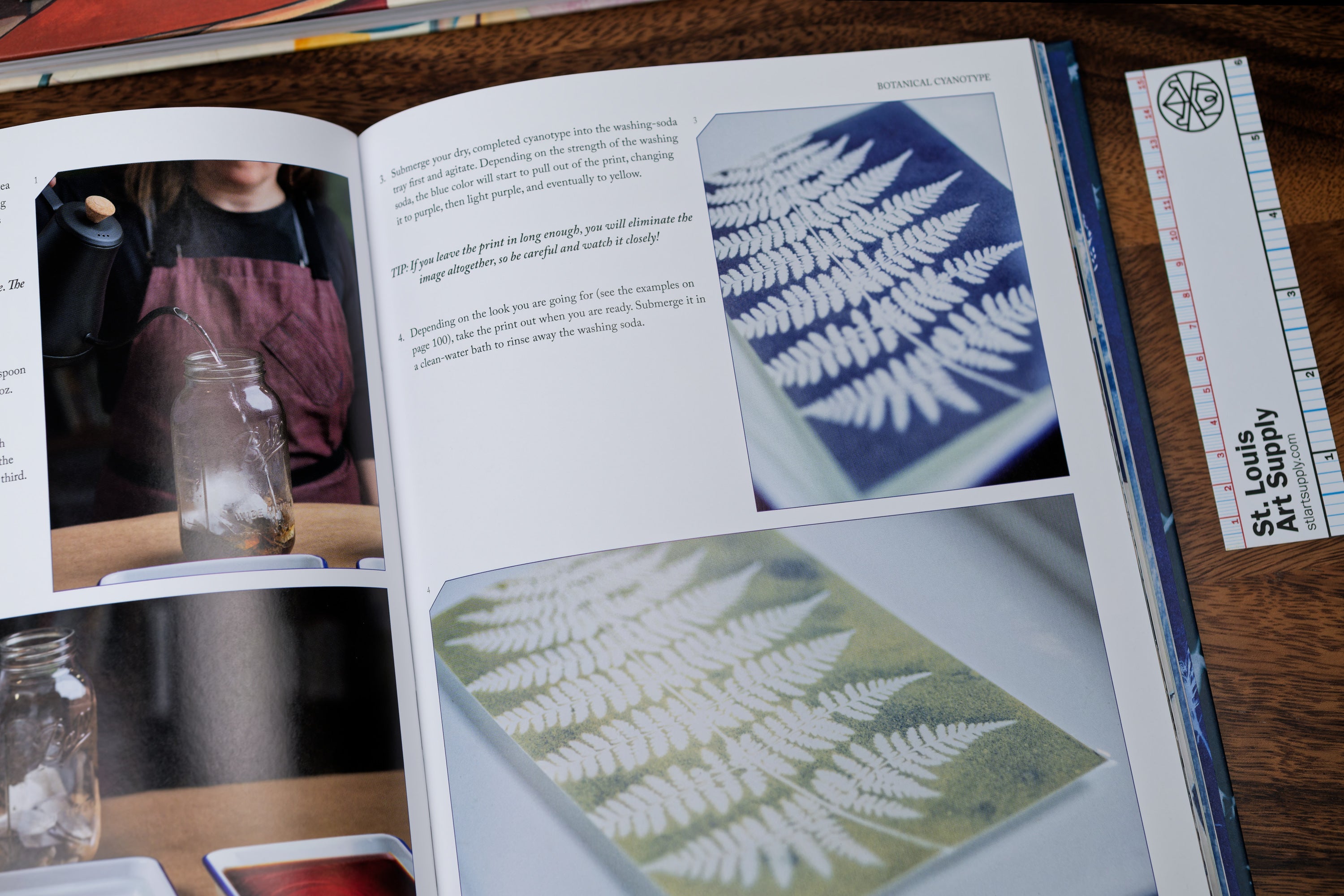 Botanical Cyanotype