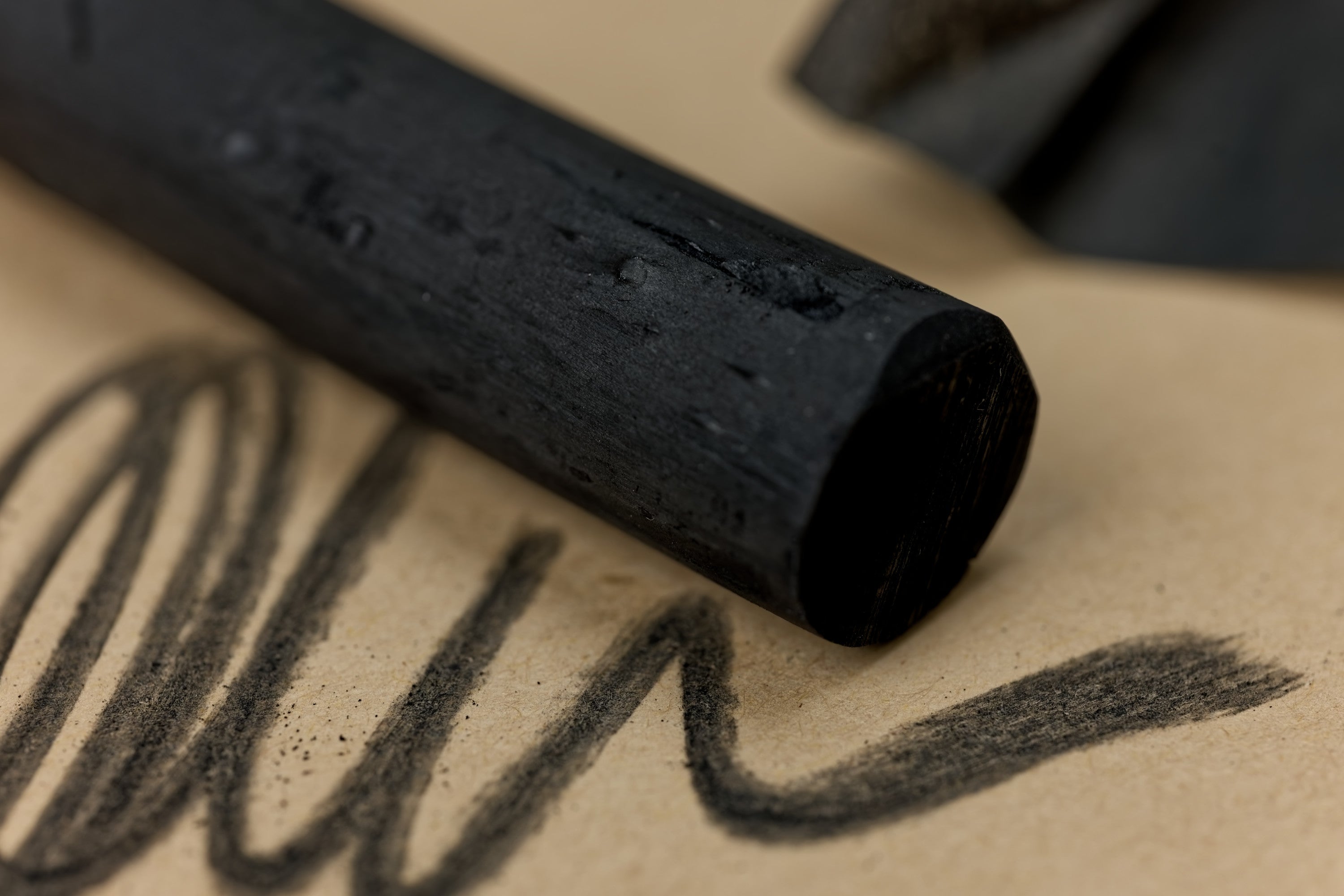 Willow Charcoal, 12 Thick Sticks (⌀7-9 mm)