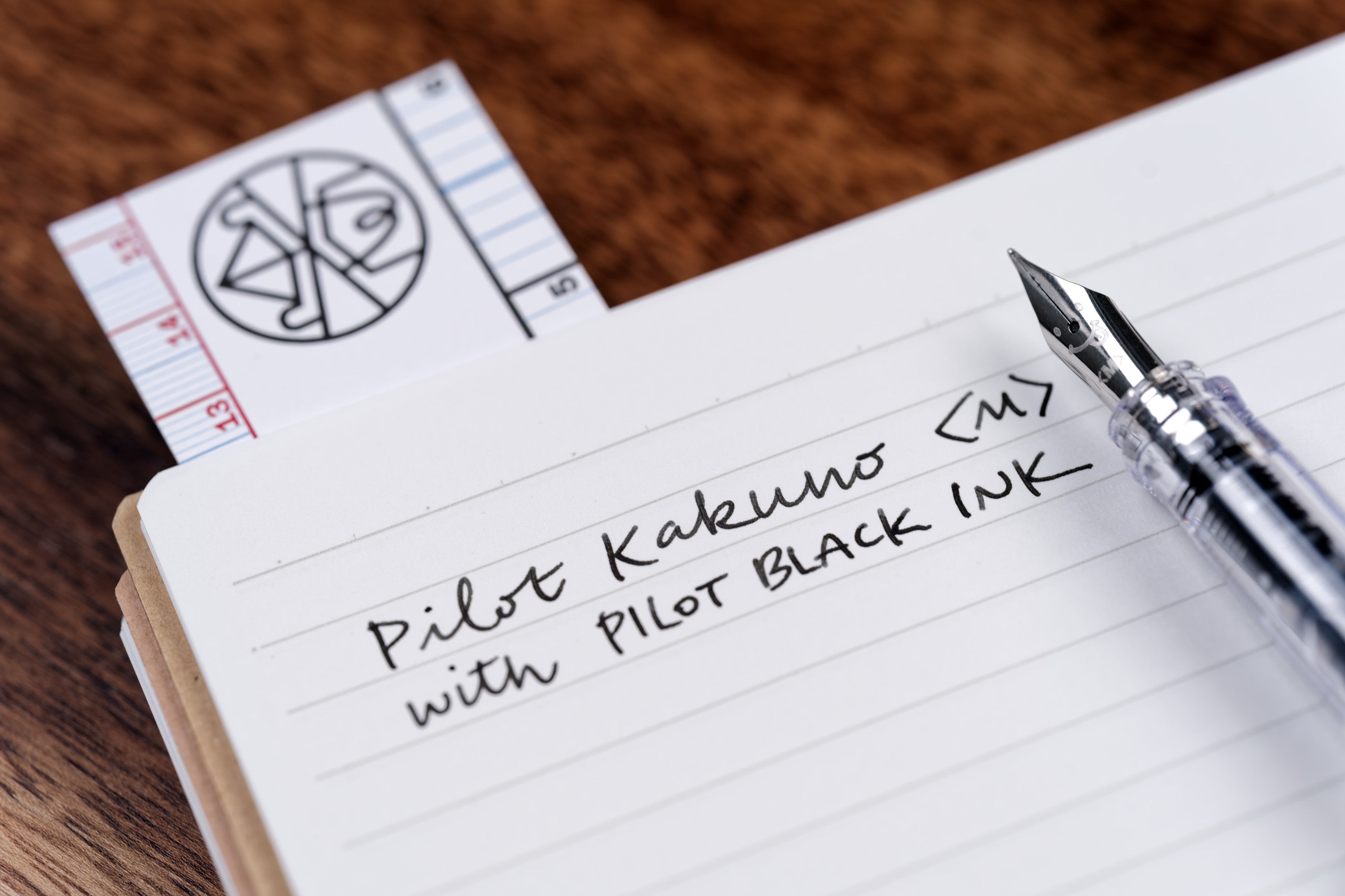 Pilot Black Fountain Pen Ink, 30 mL