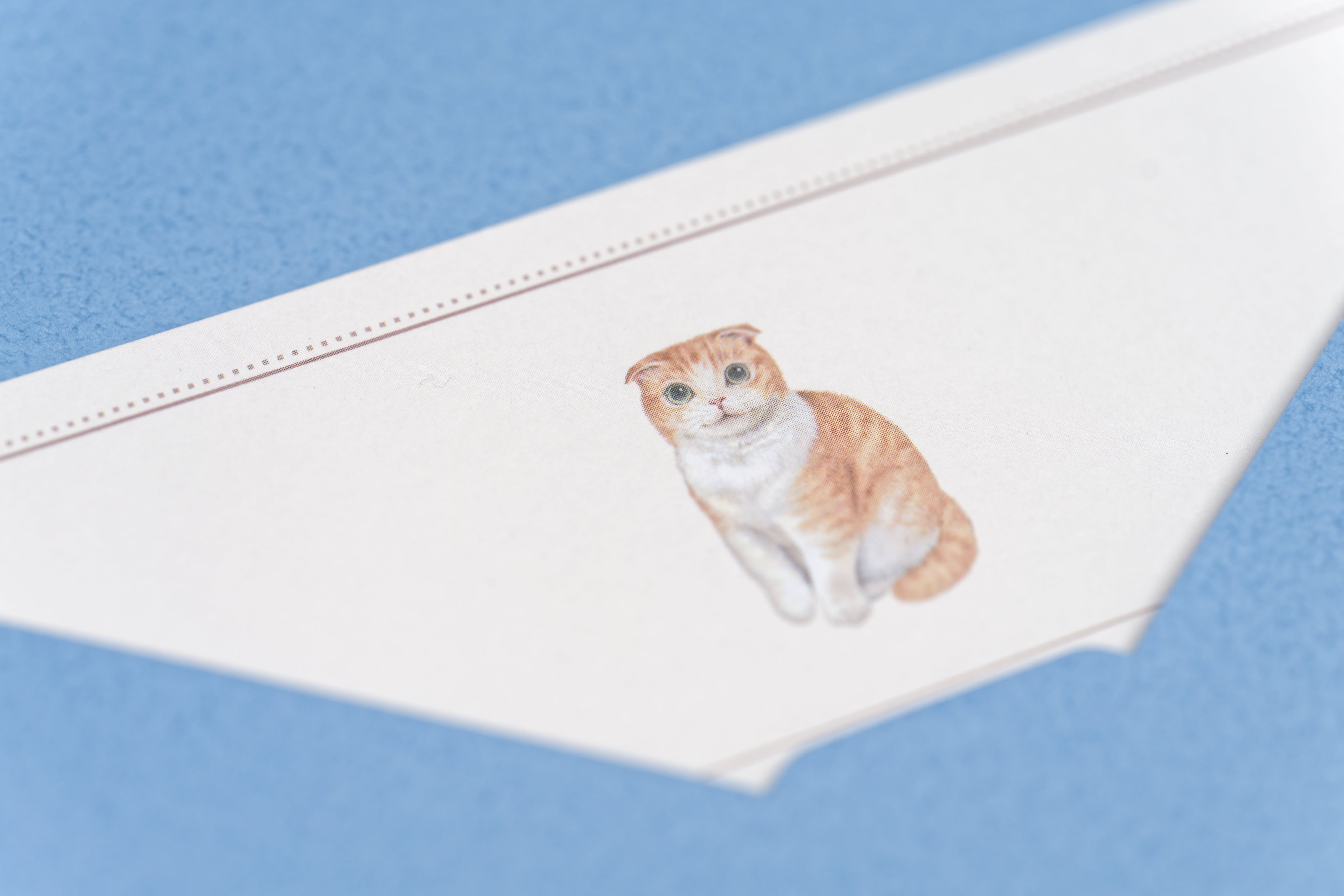 Scottish Fold Letter Set