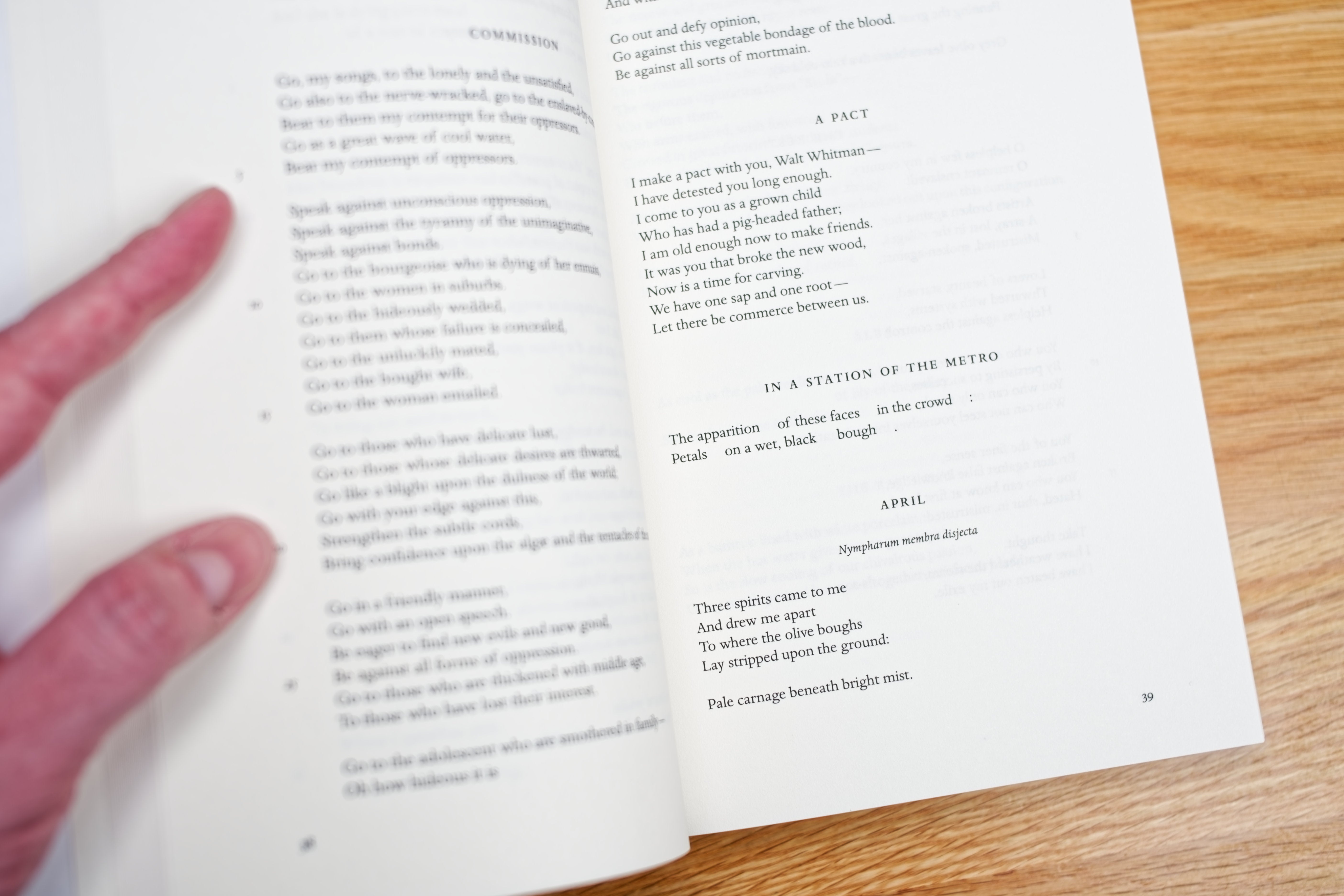 Ezra Pound: New Selected Poems