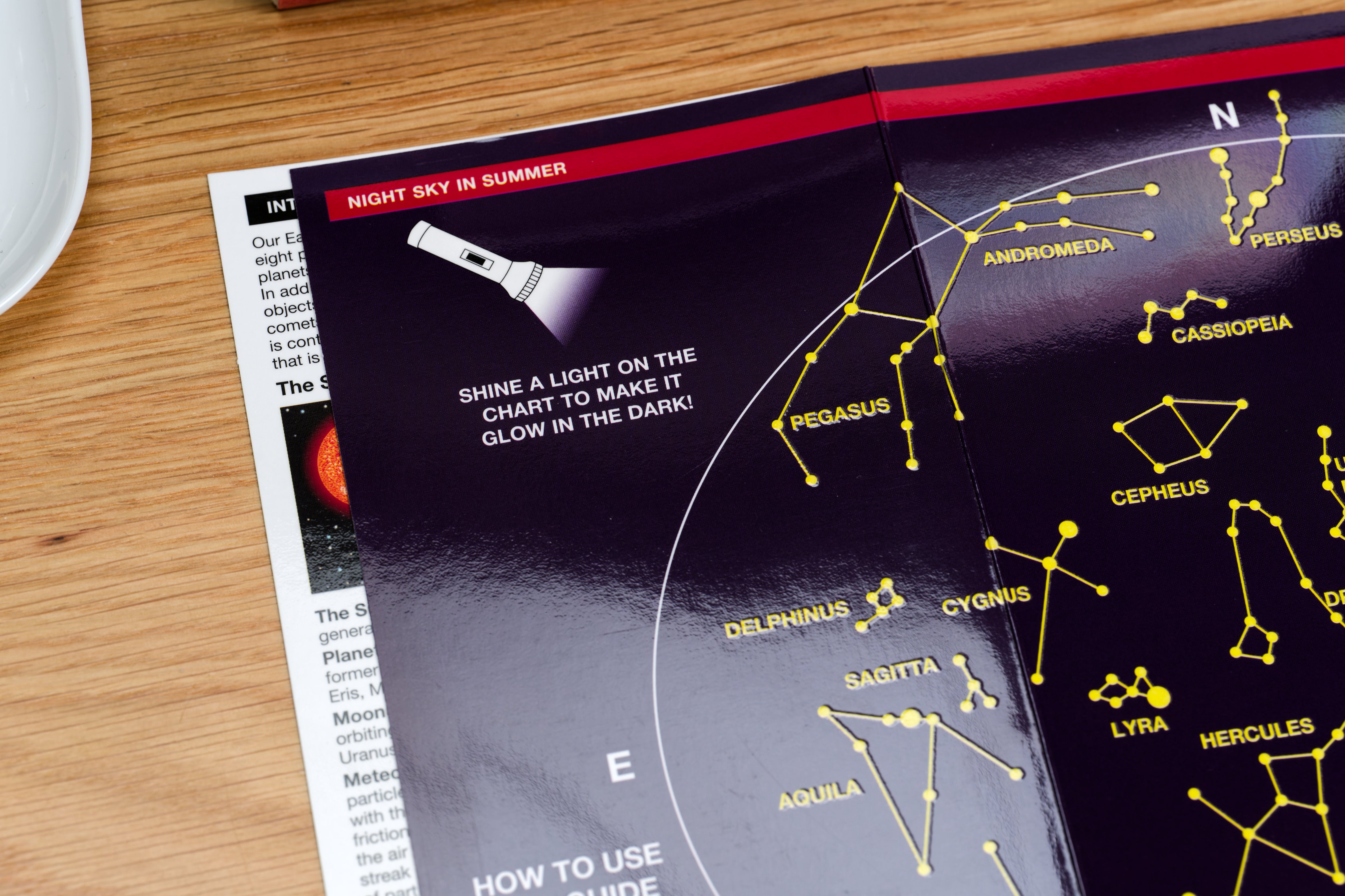 Pocket Naturalist: The Night Sky