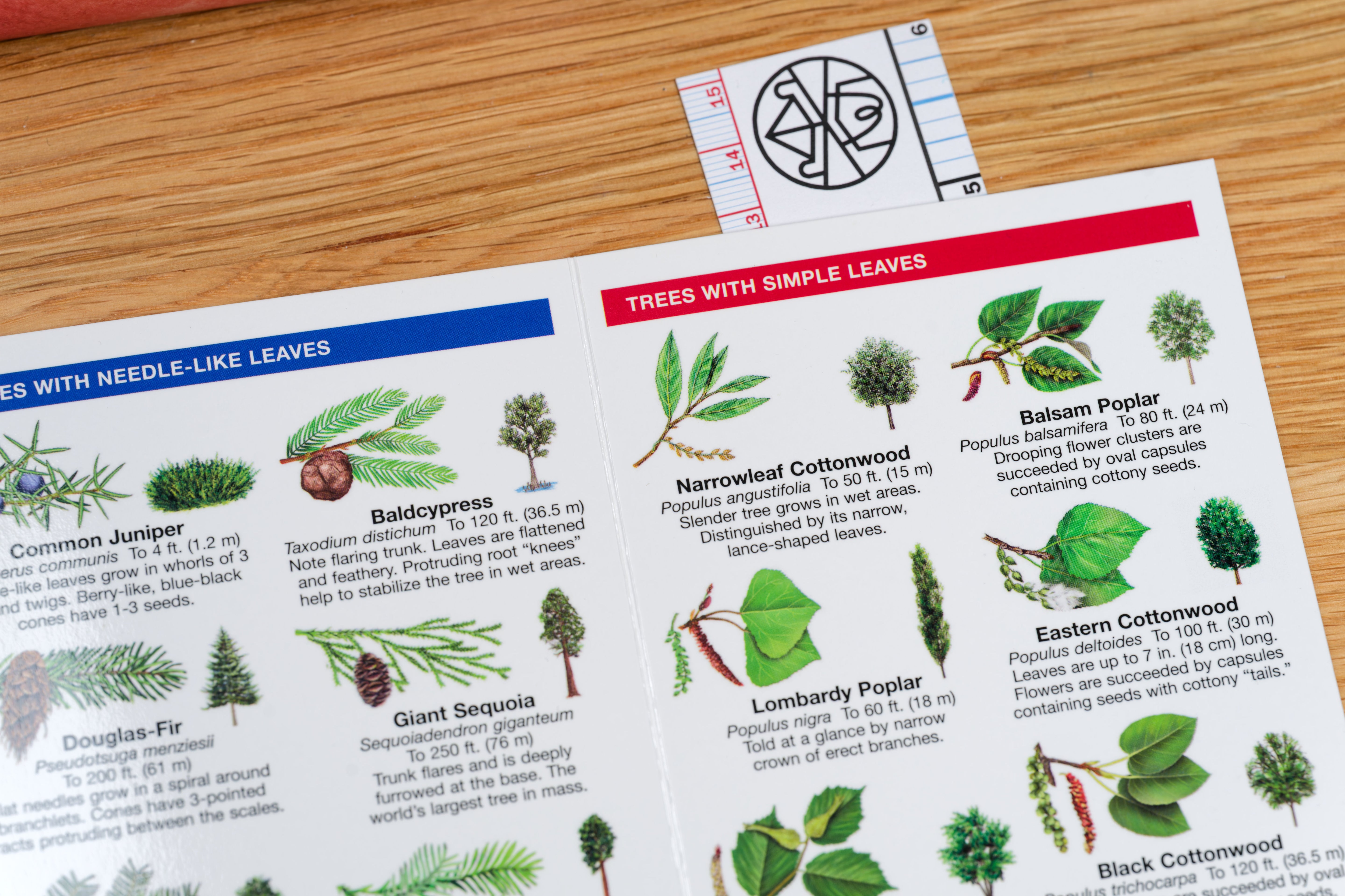 Pocket Naturalist: Trees