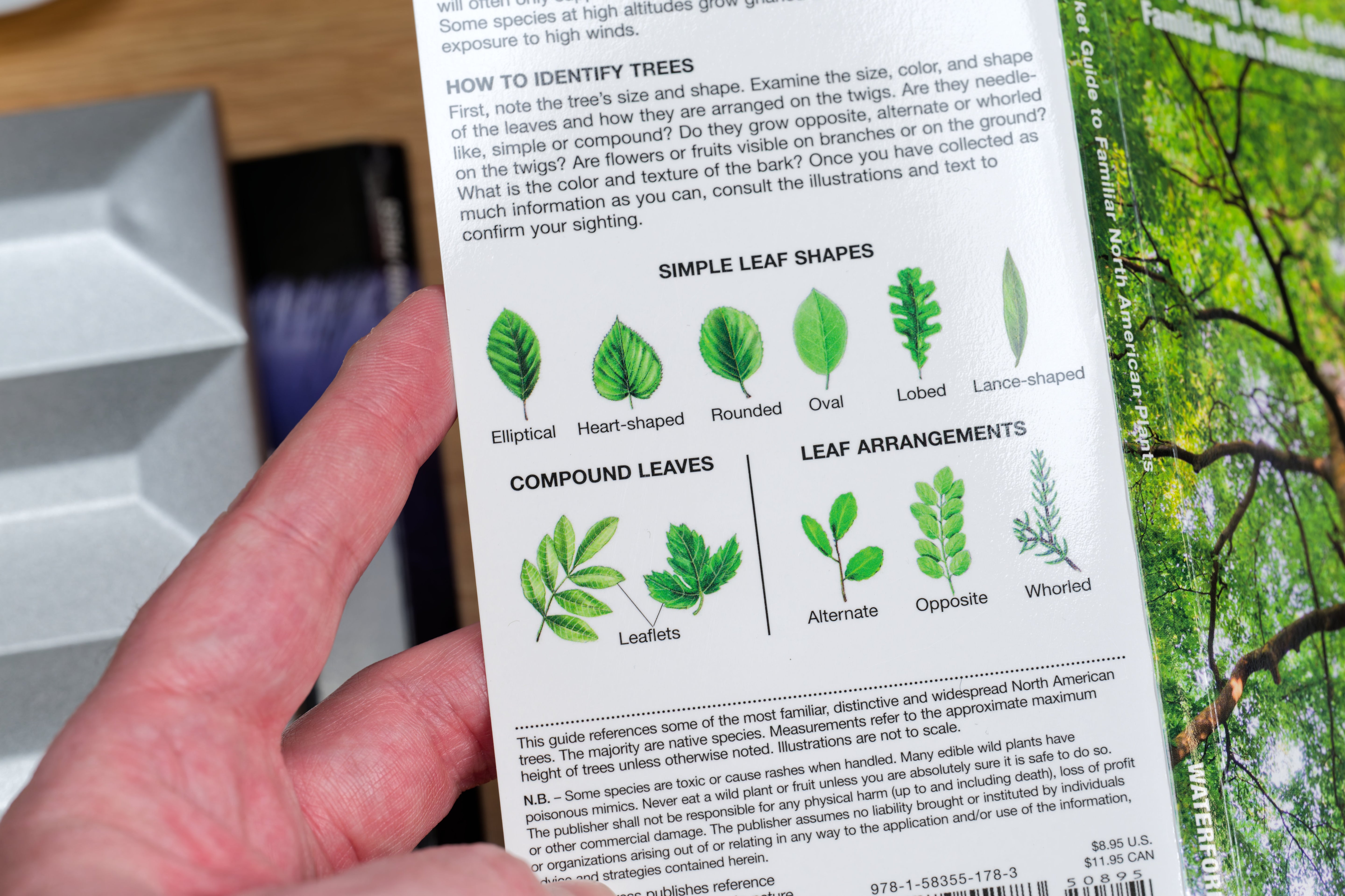 Pocket Naturalist: Trees