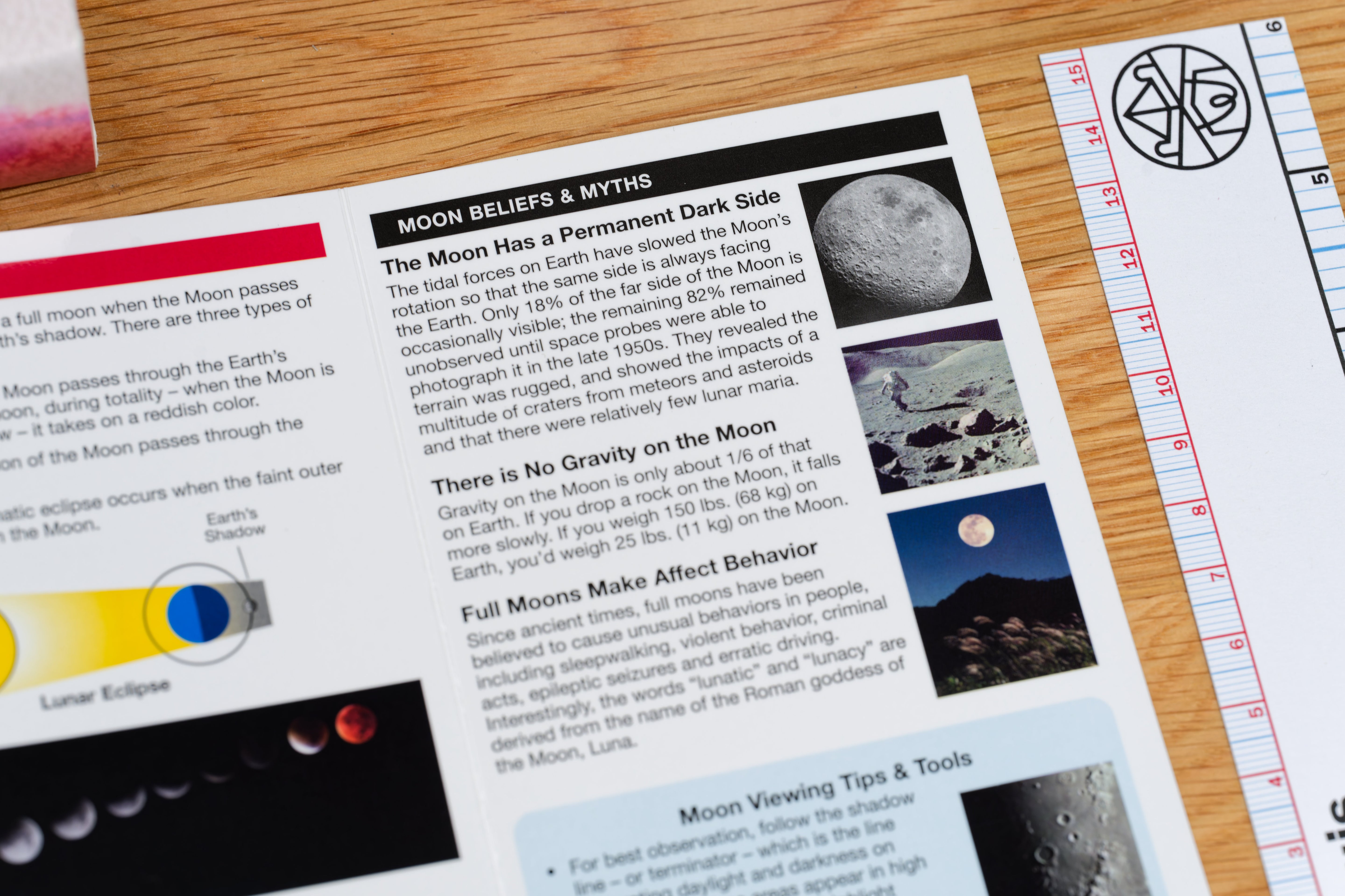 Pocket Naturalist: The Moon