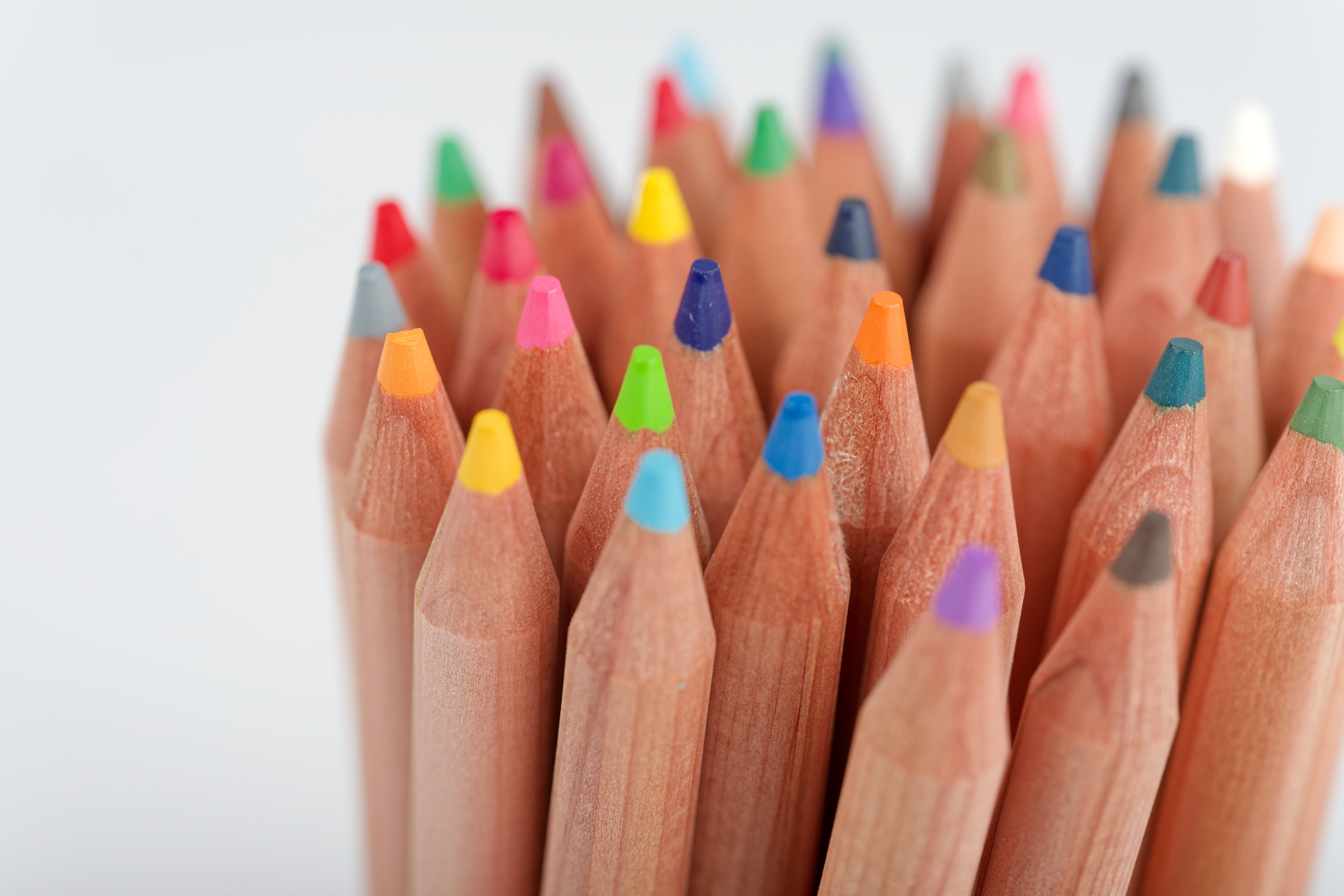 Cedar Colored Pencils, Set of 36