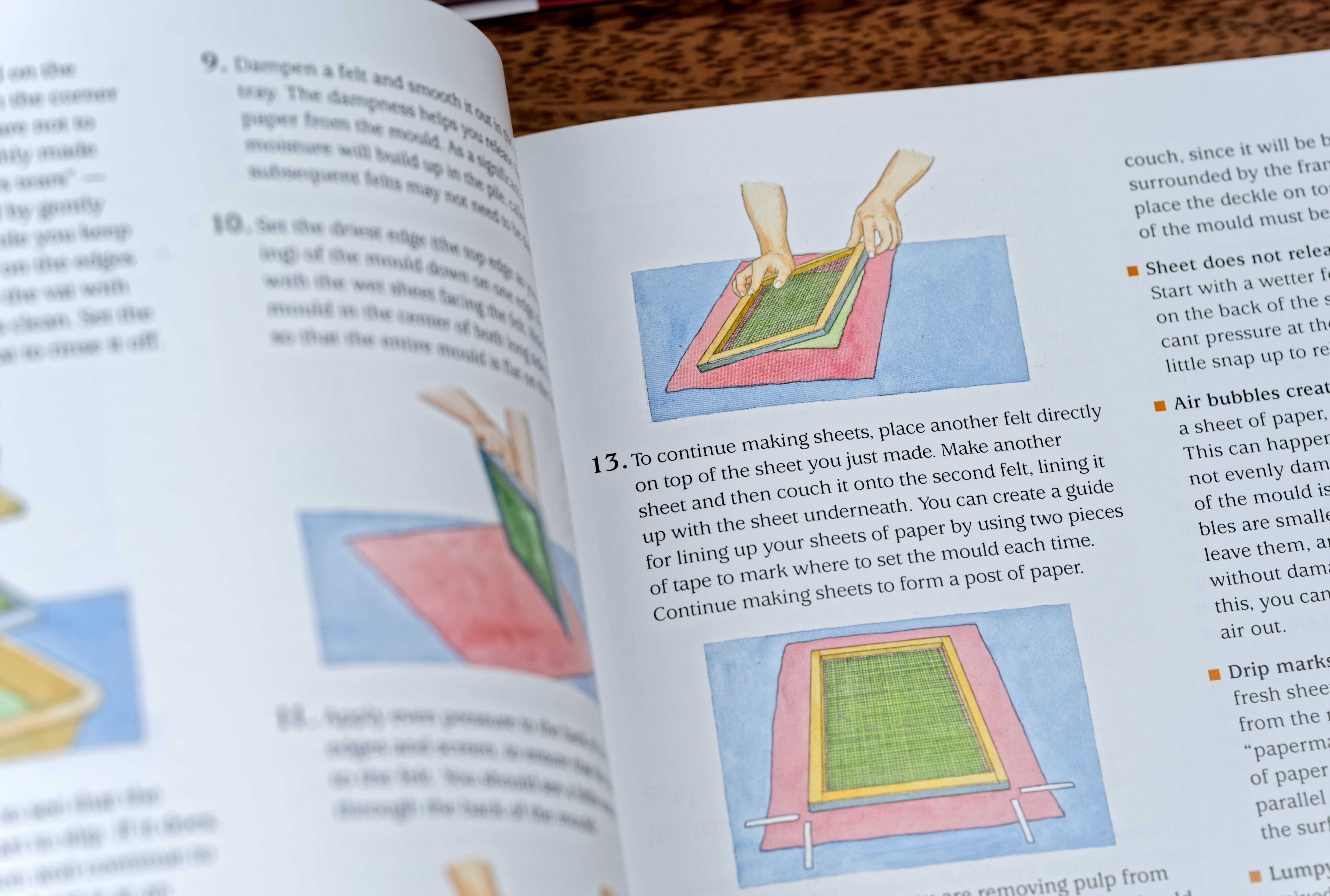 Papermaking with Garden Plants & Common Weeds