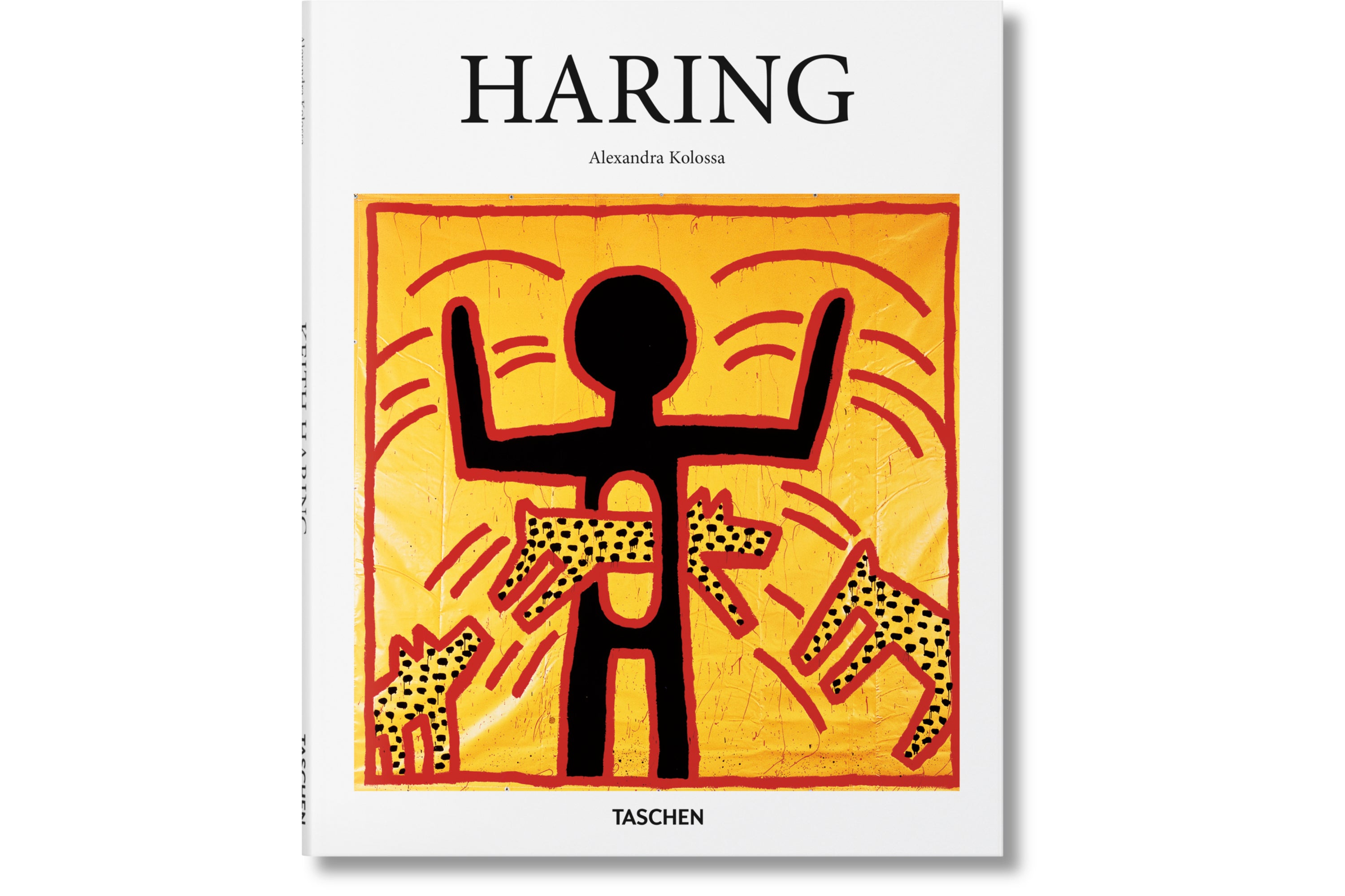 Haring (Basic Art)