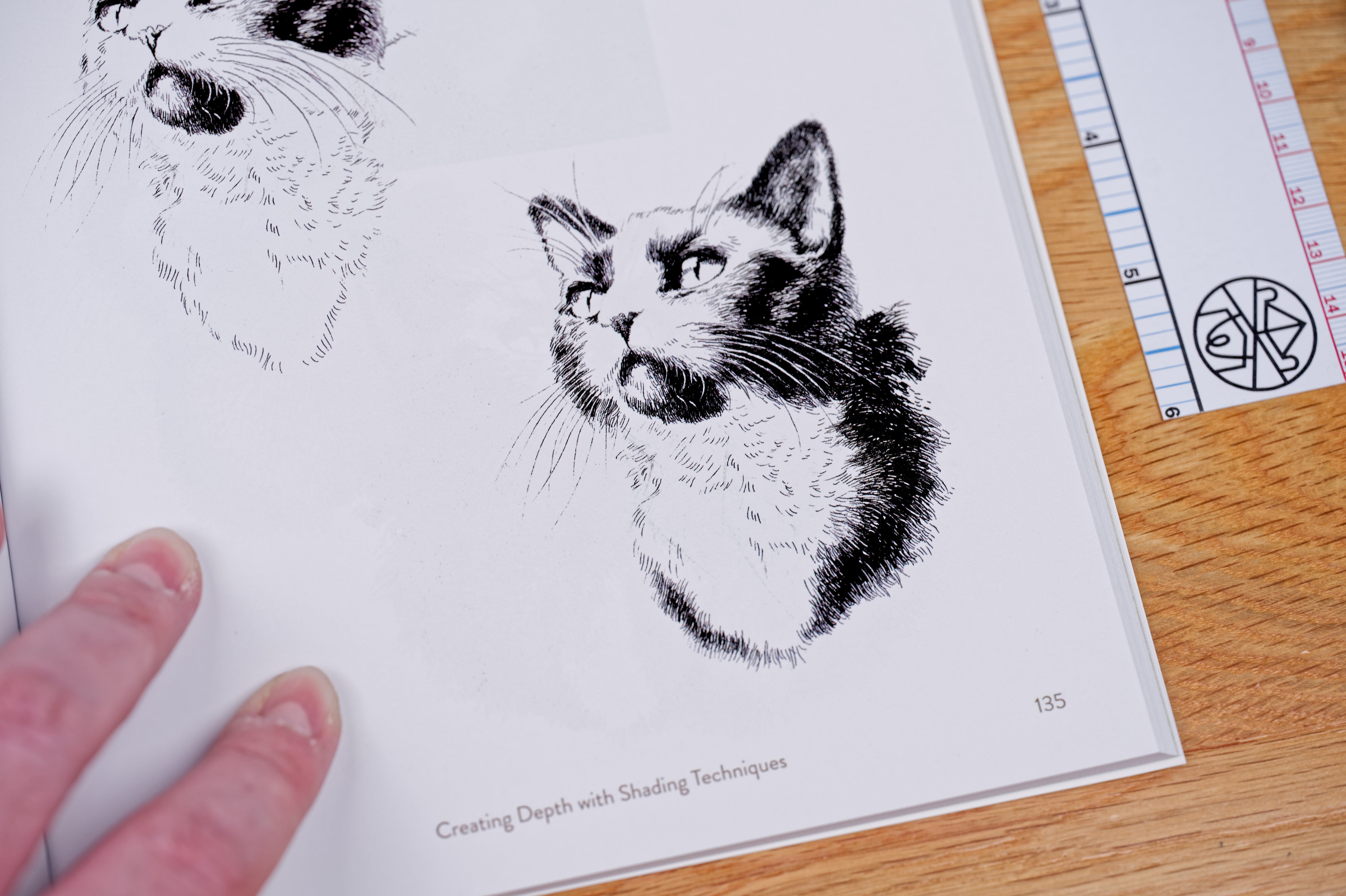 Artist's Guide to Pen and Ink