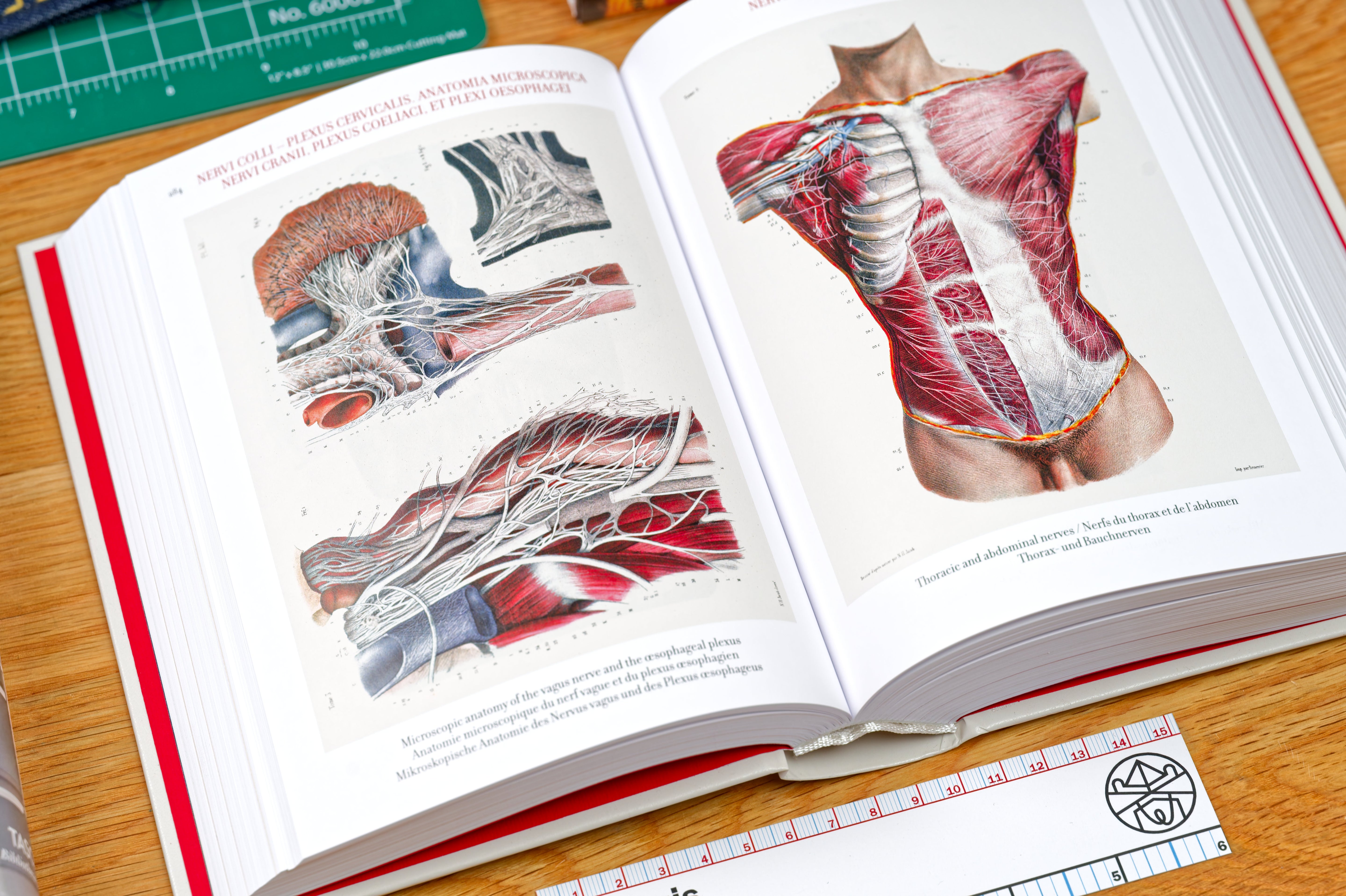 Atlas of Human Anatomy and Surgery (Bibliotheca Universalis)