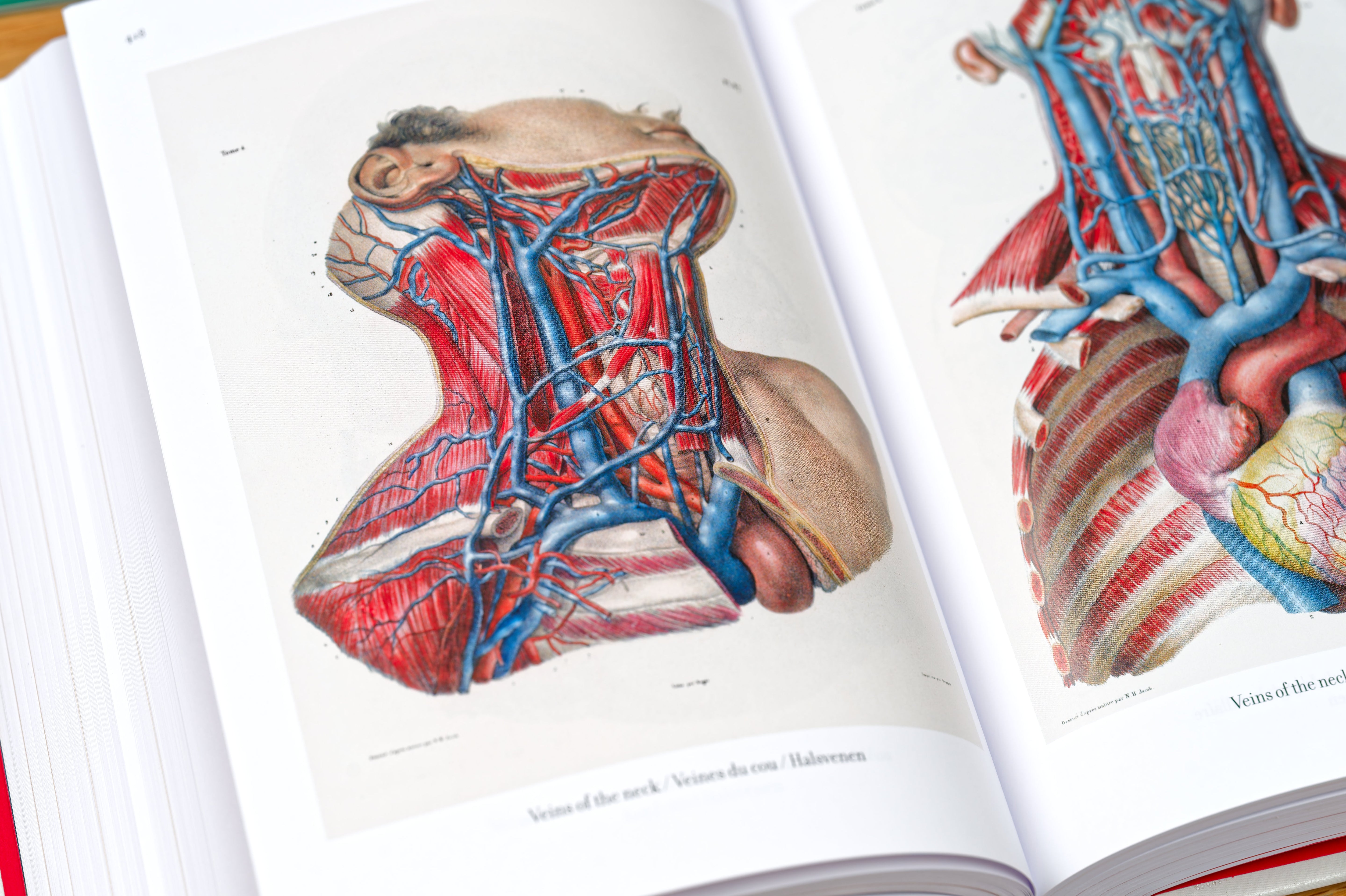 Atlas of Human Anatomy and Surgery (Bibliotheca Universalis)