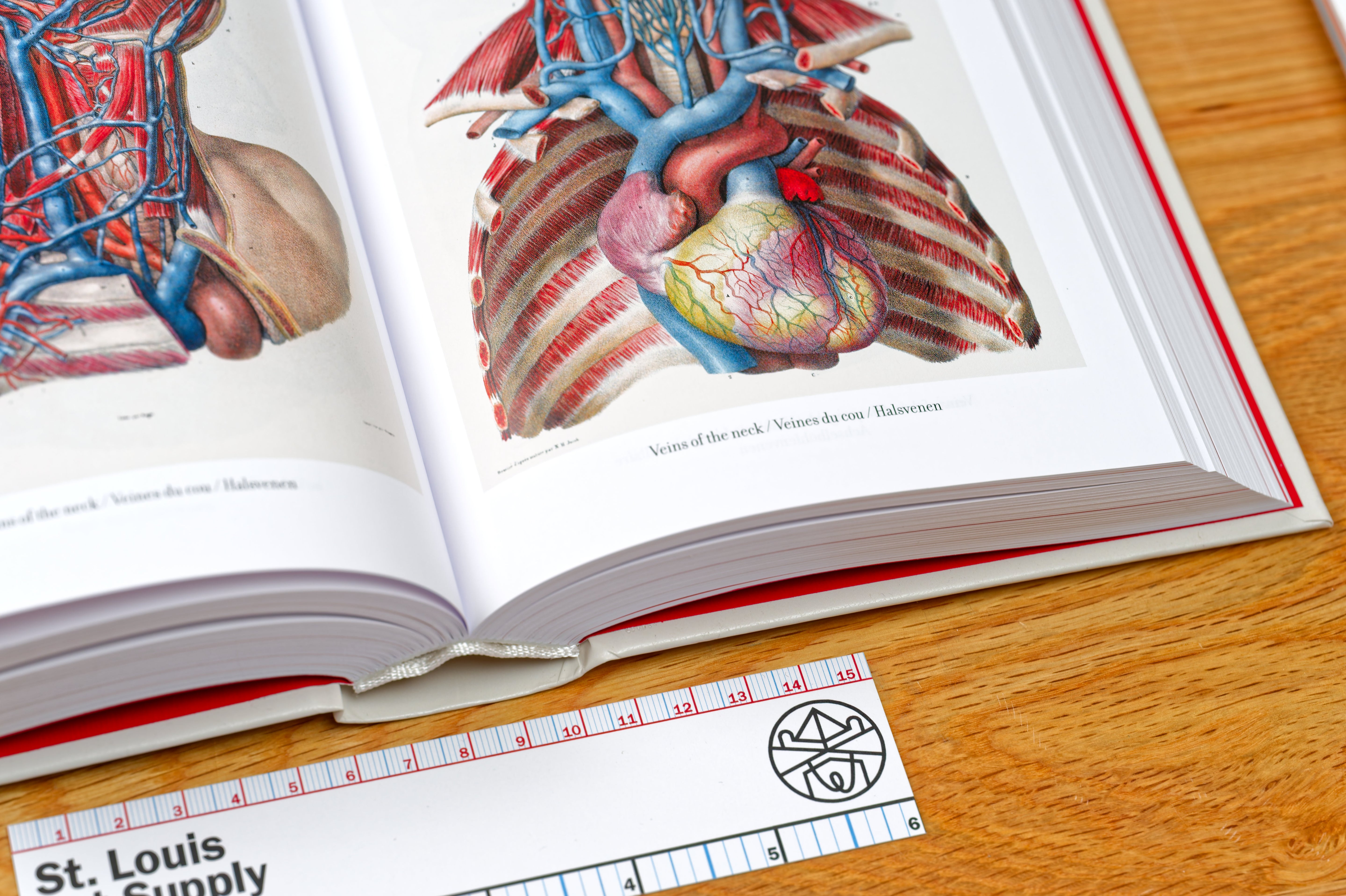 Atlas of Human Anatomy and Surgery (Bibliotheca Universalis)