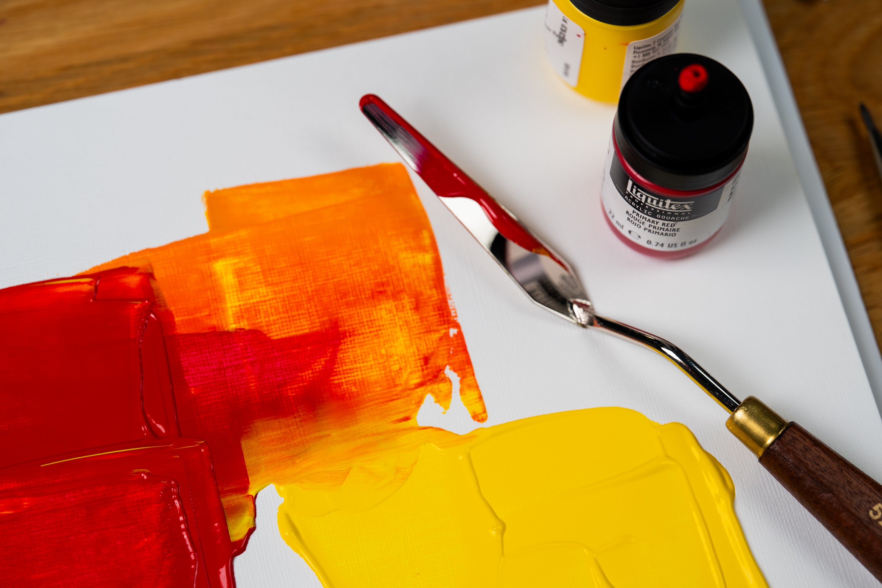 Liquitex Basics Canvas Paper