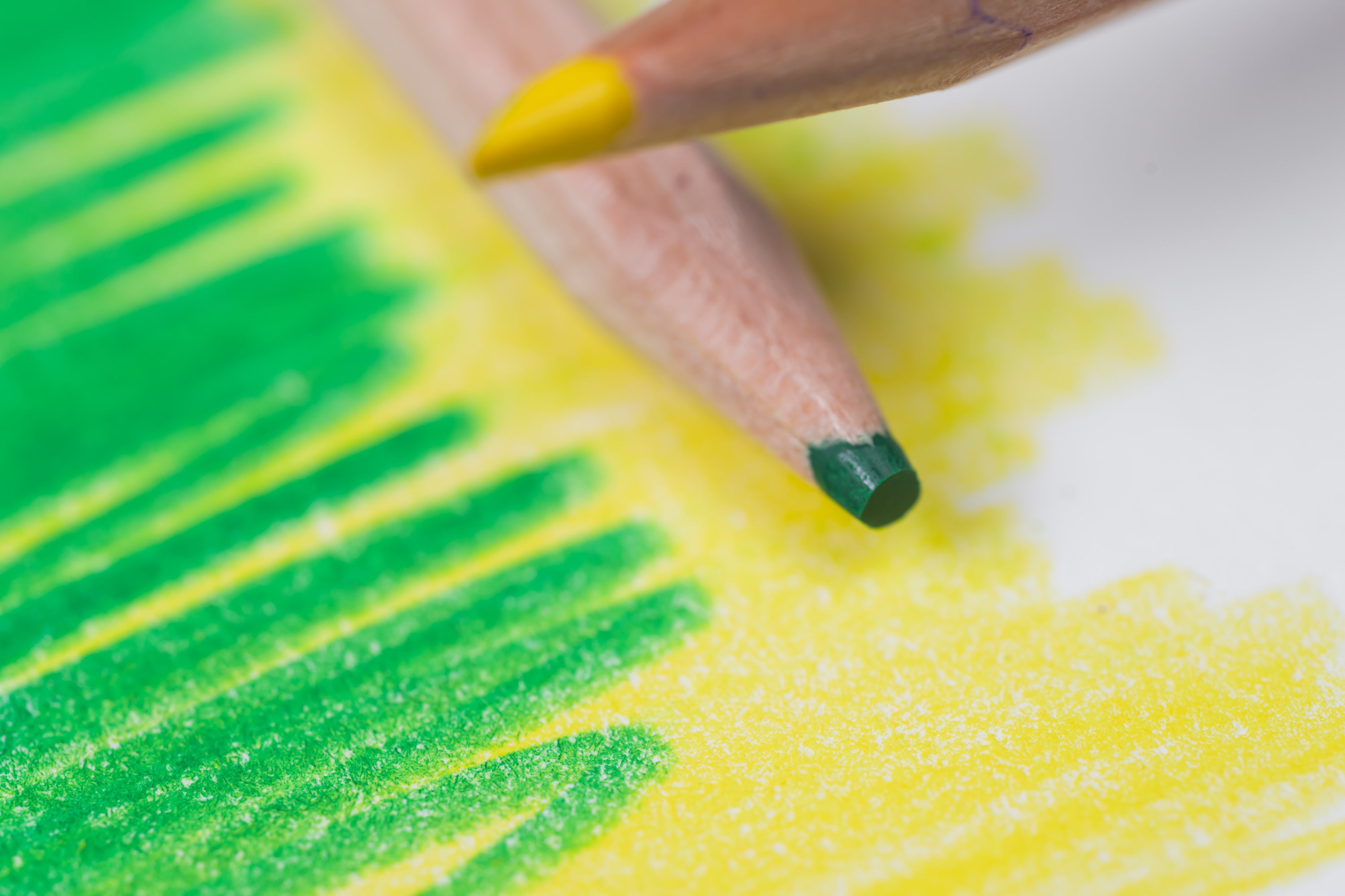 Cedar Colored Pencils, Set of 36