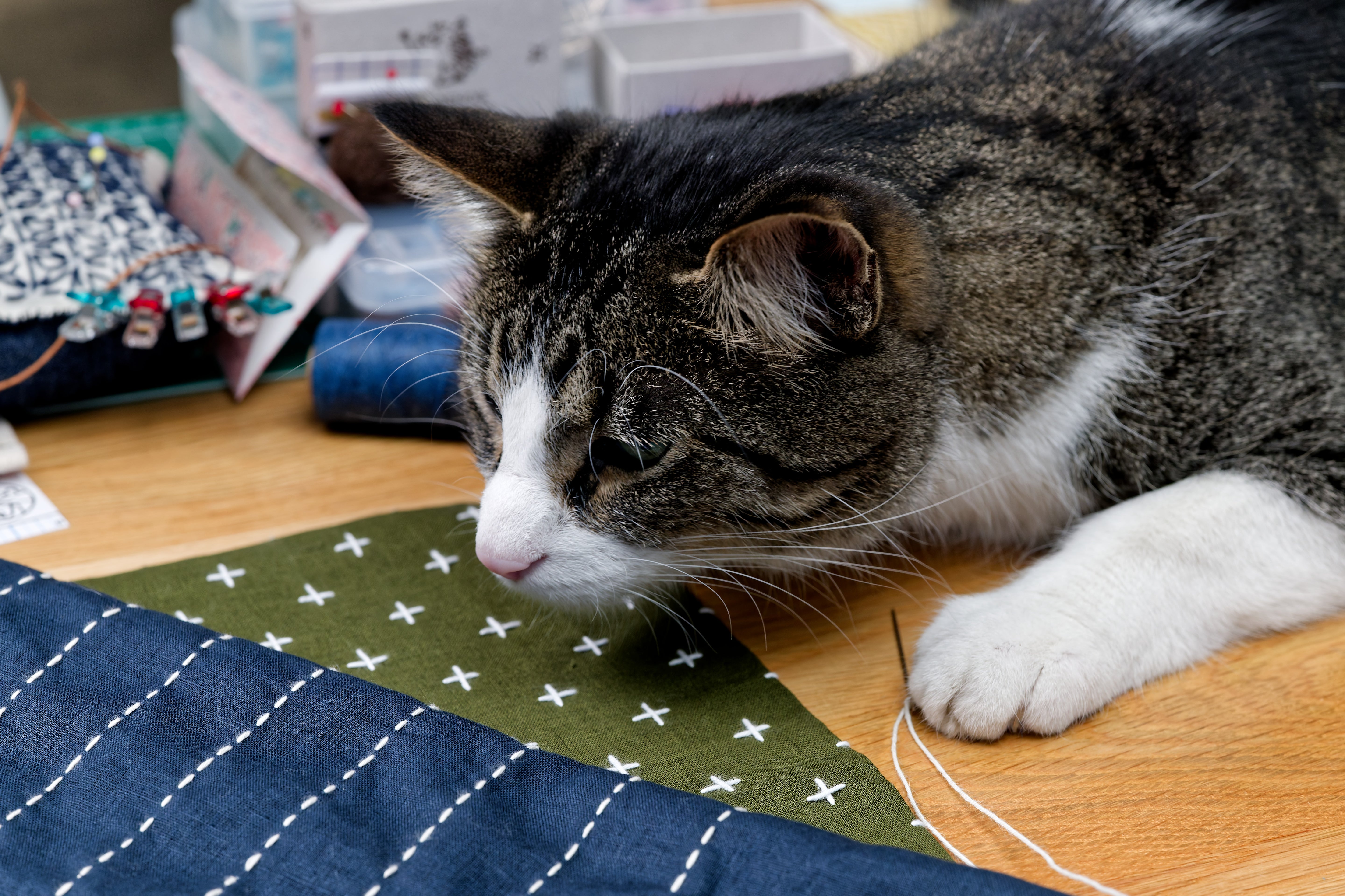 Sashiko Cloth with Disappearing Lines (Blue/Circles)