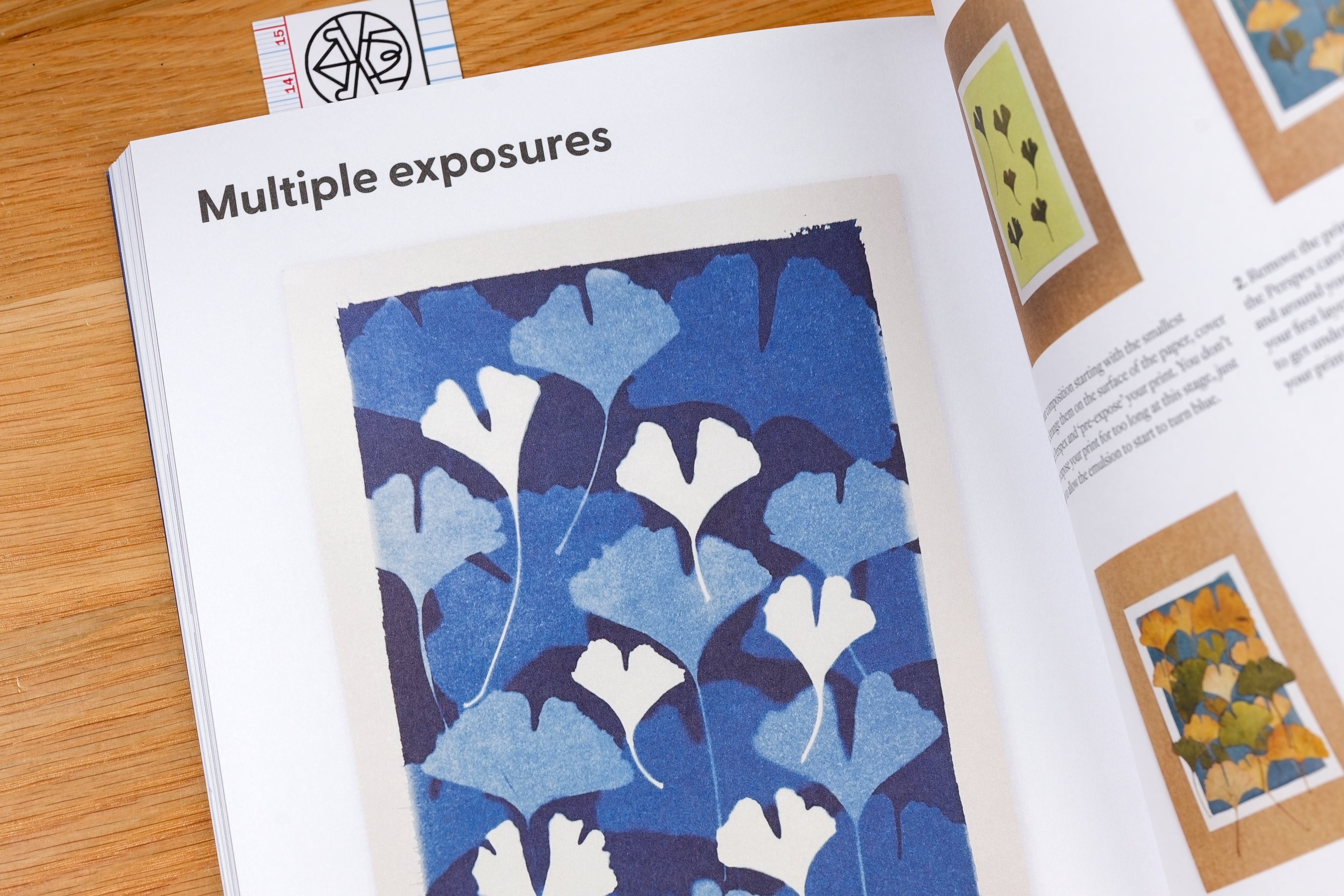 Cyanotype: Learn in a Weekend