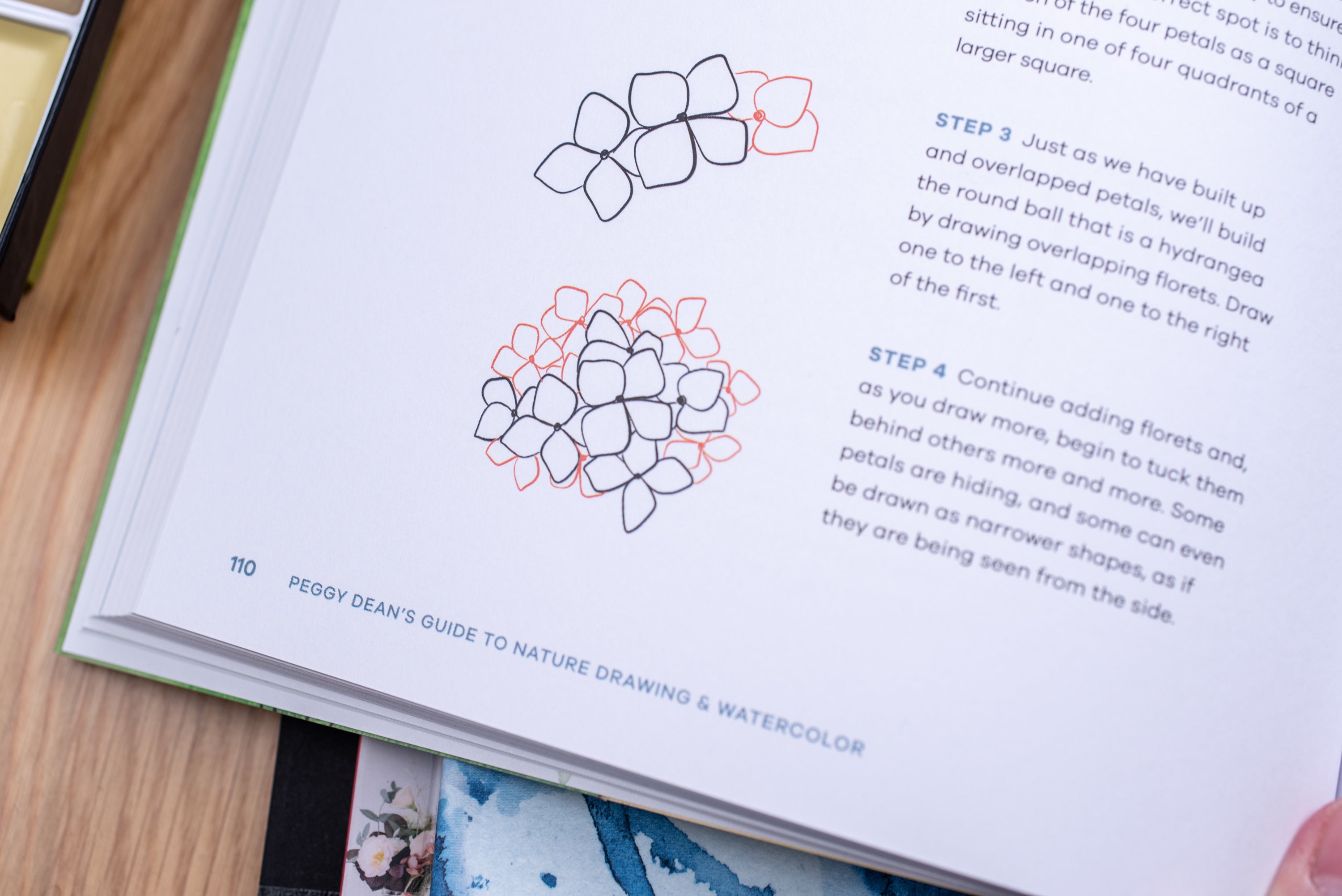 Peggy Dean's Guide to Nature Drawing and Watercolor