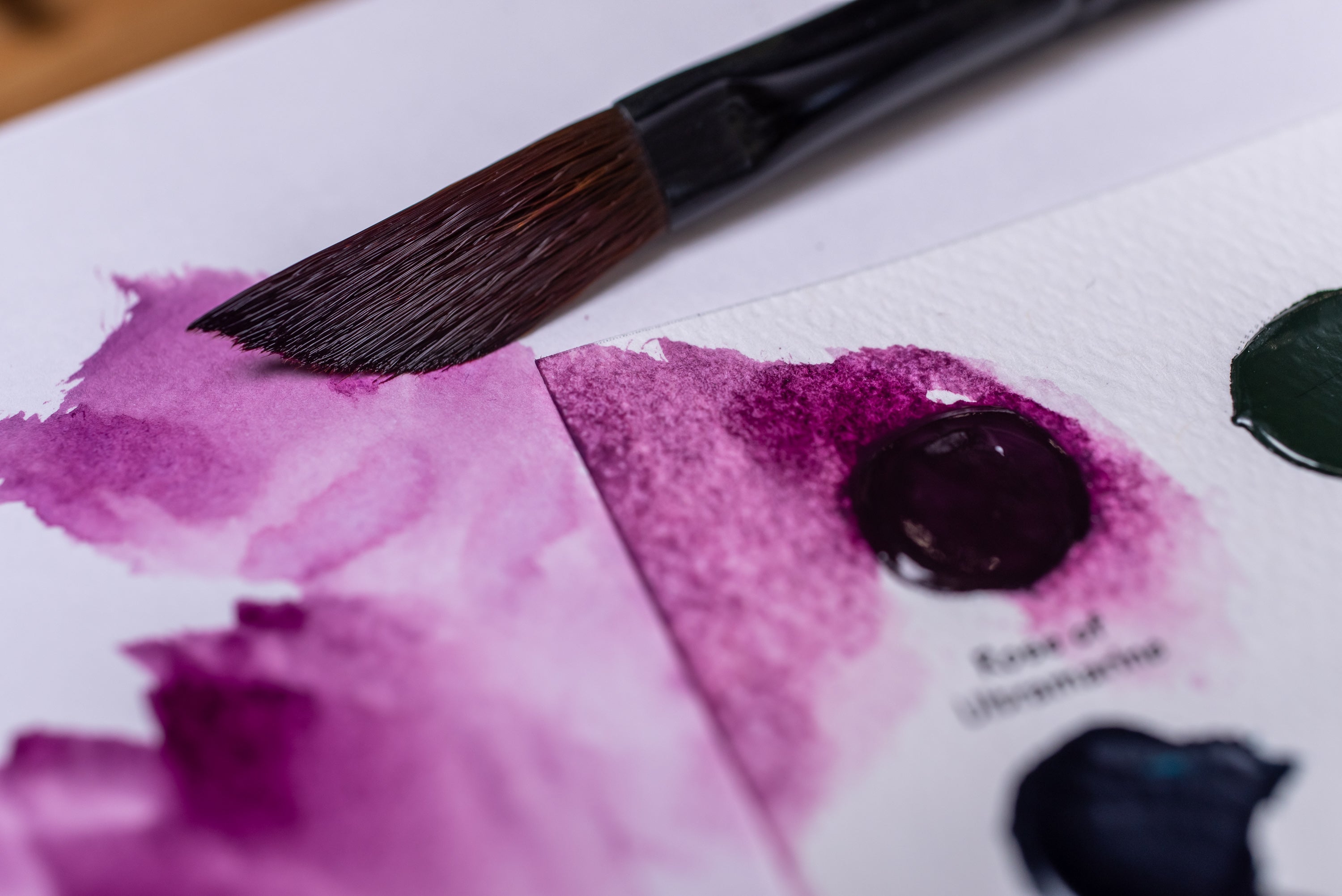 Daniel Smith Watercolor Confetti Packs