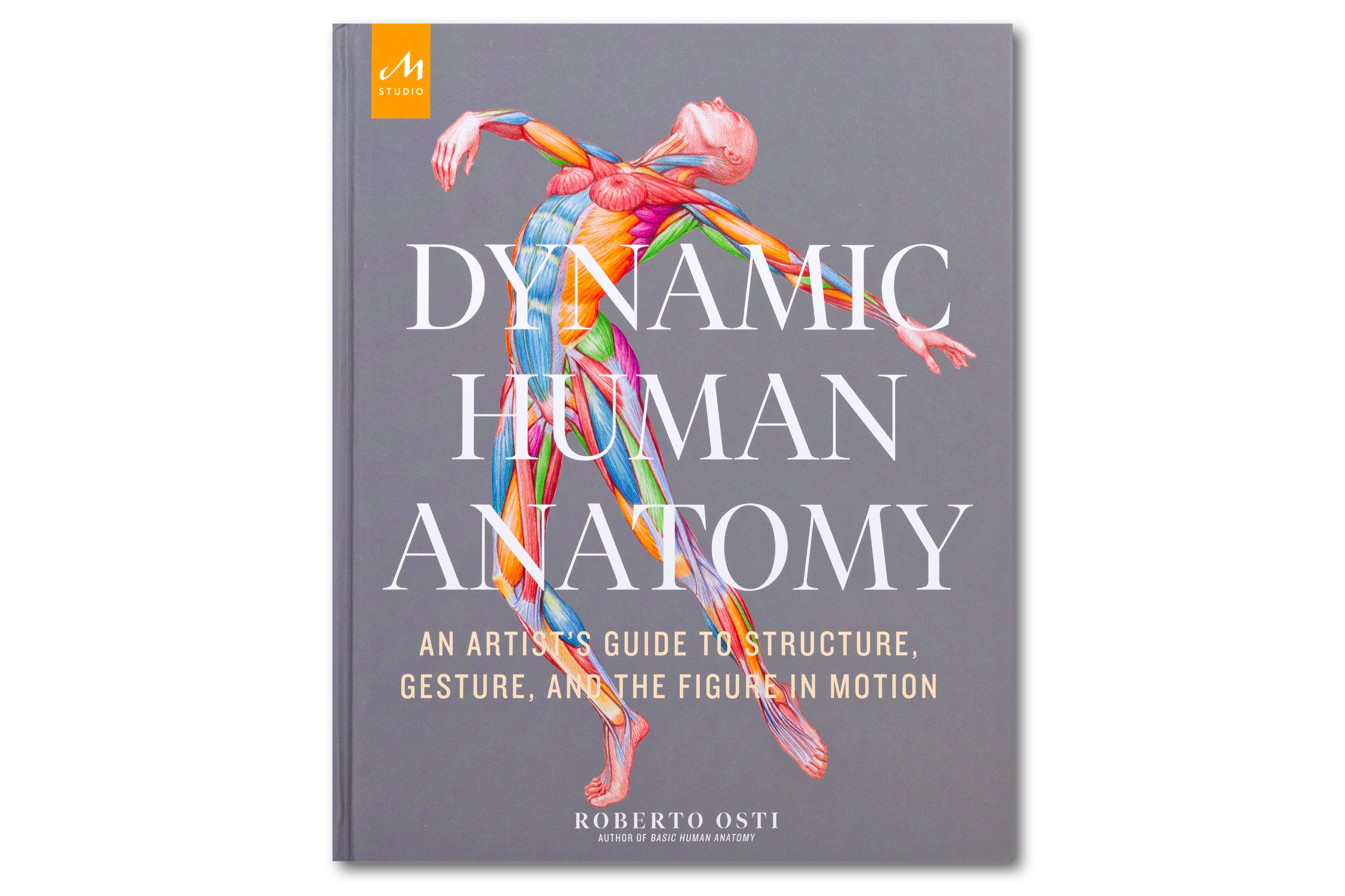 Dynamic Human Anatomy