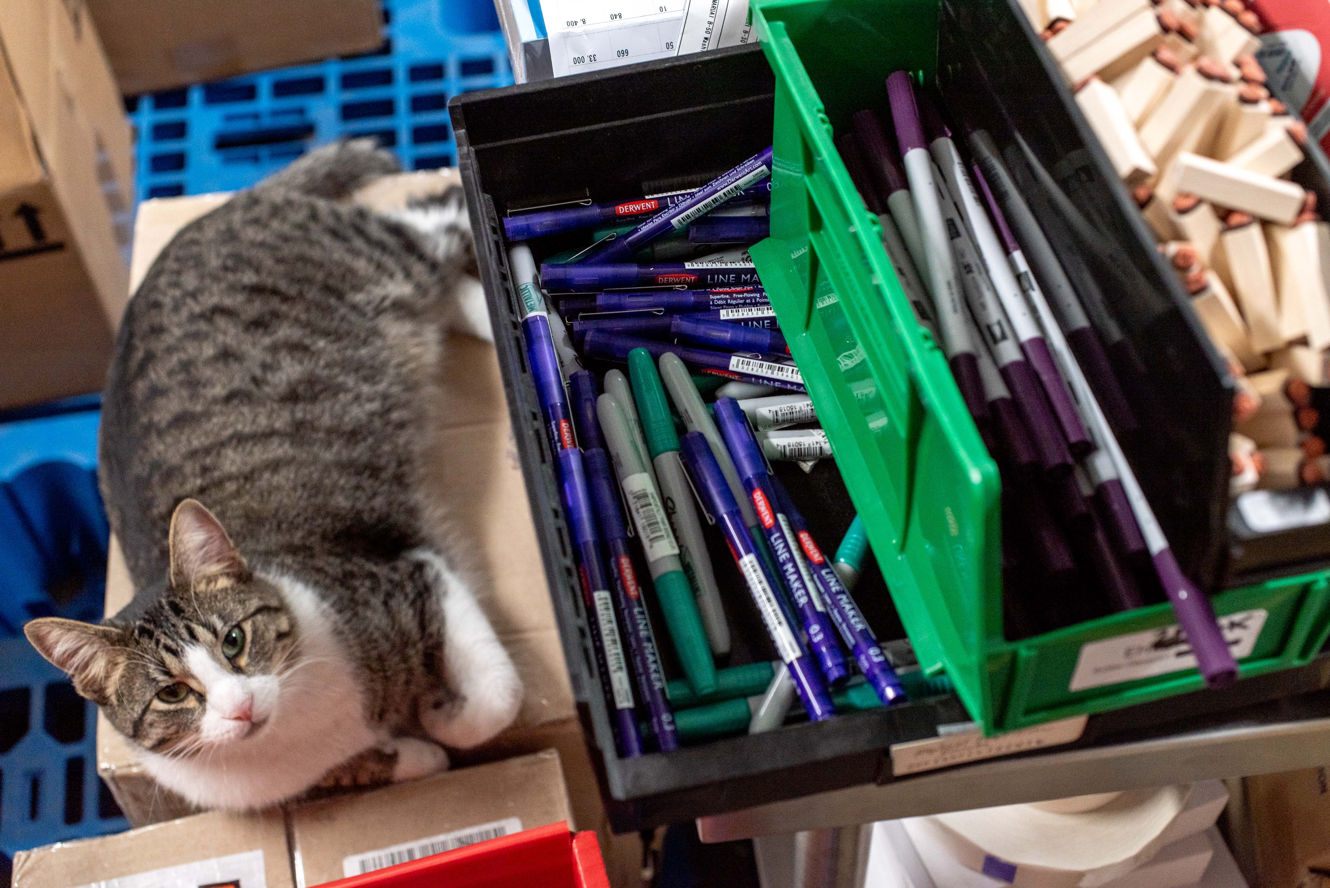 Mystery Box 2026: Even Shinier