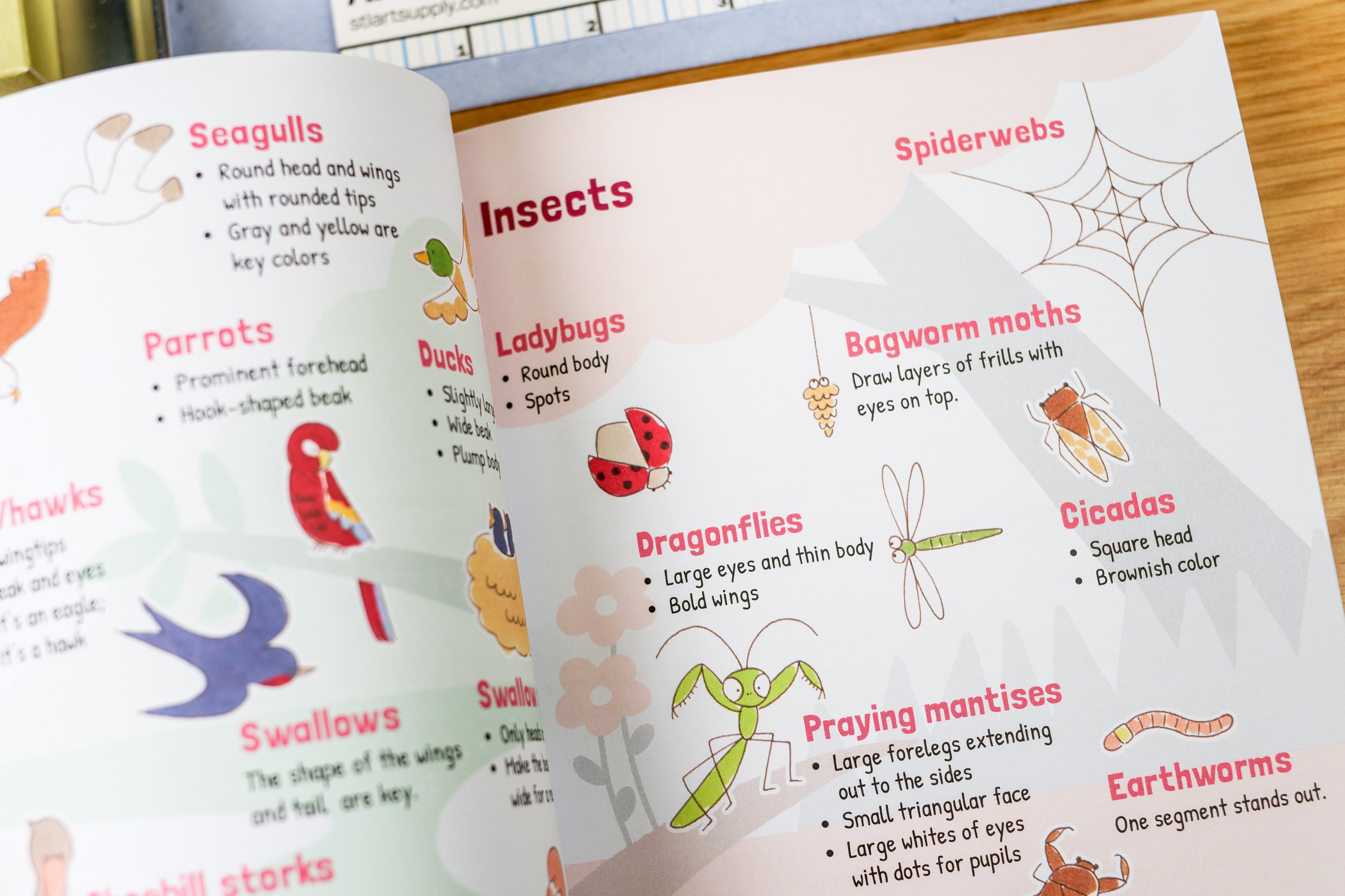 How to Doodle: The Complete Guide