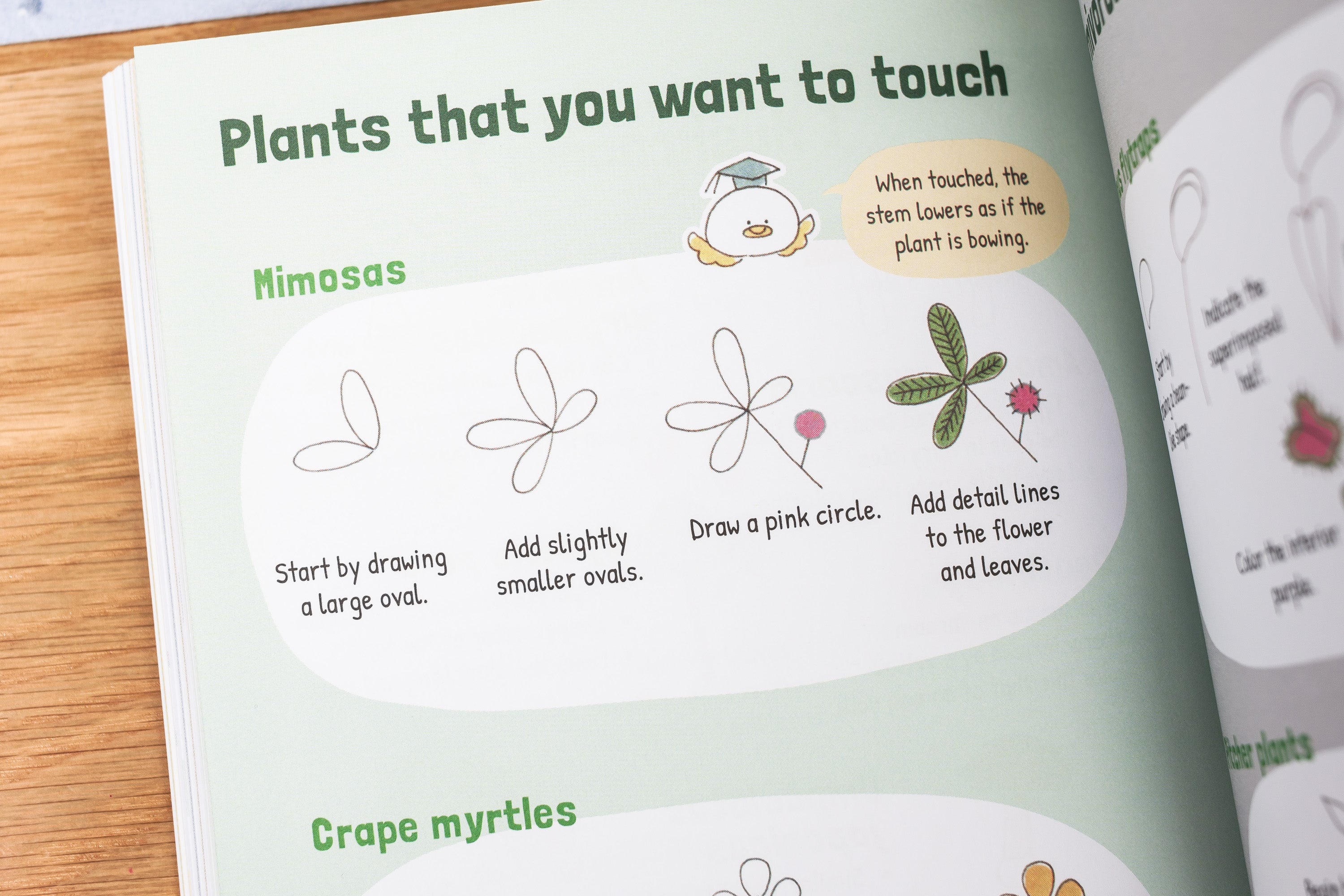 How to Doodle: The Complete Guide