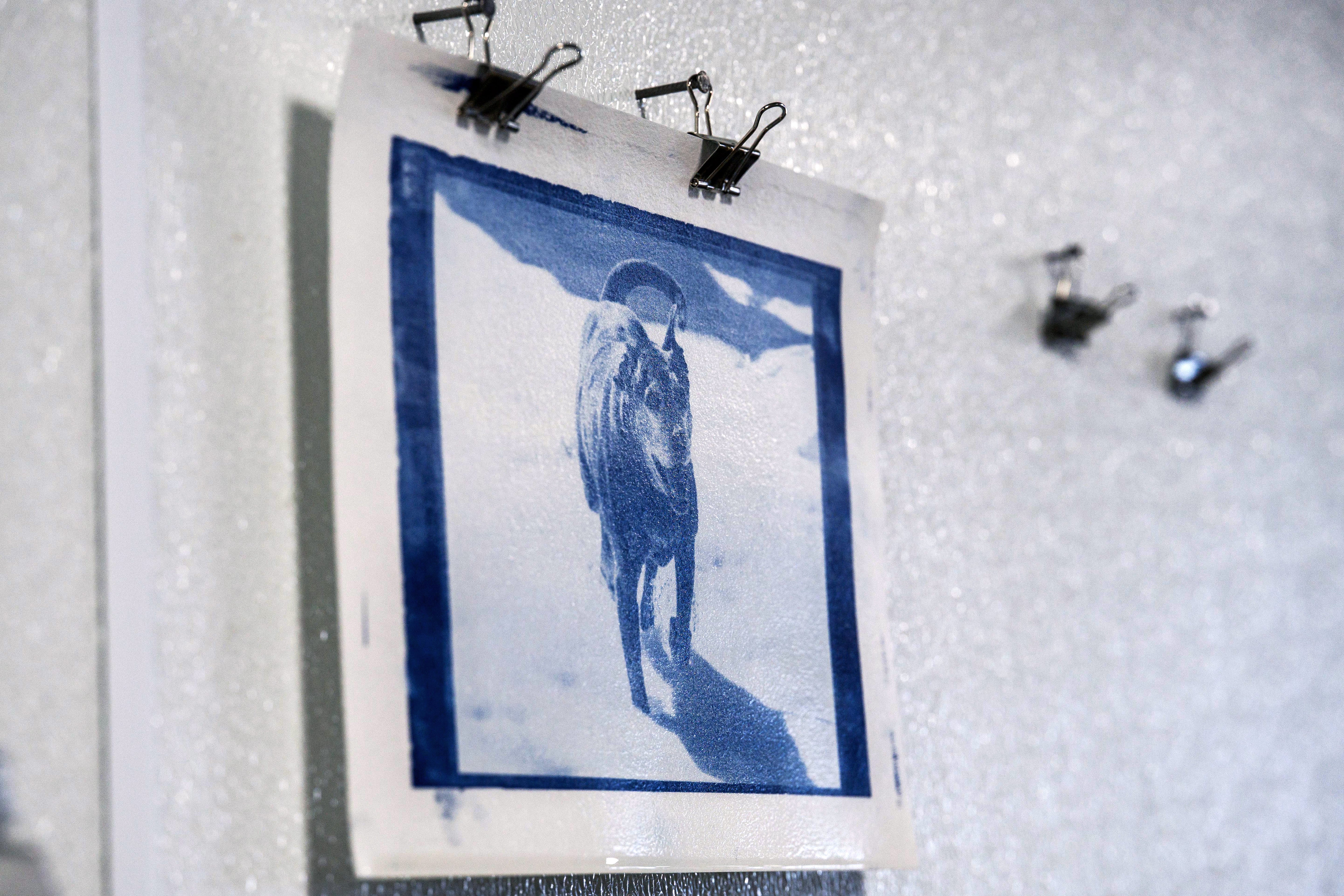 Jacquard Complete Cyanotype Kit