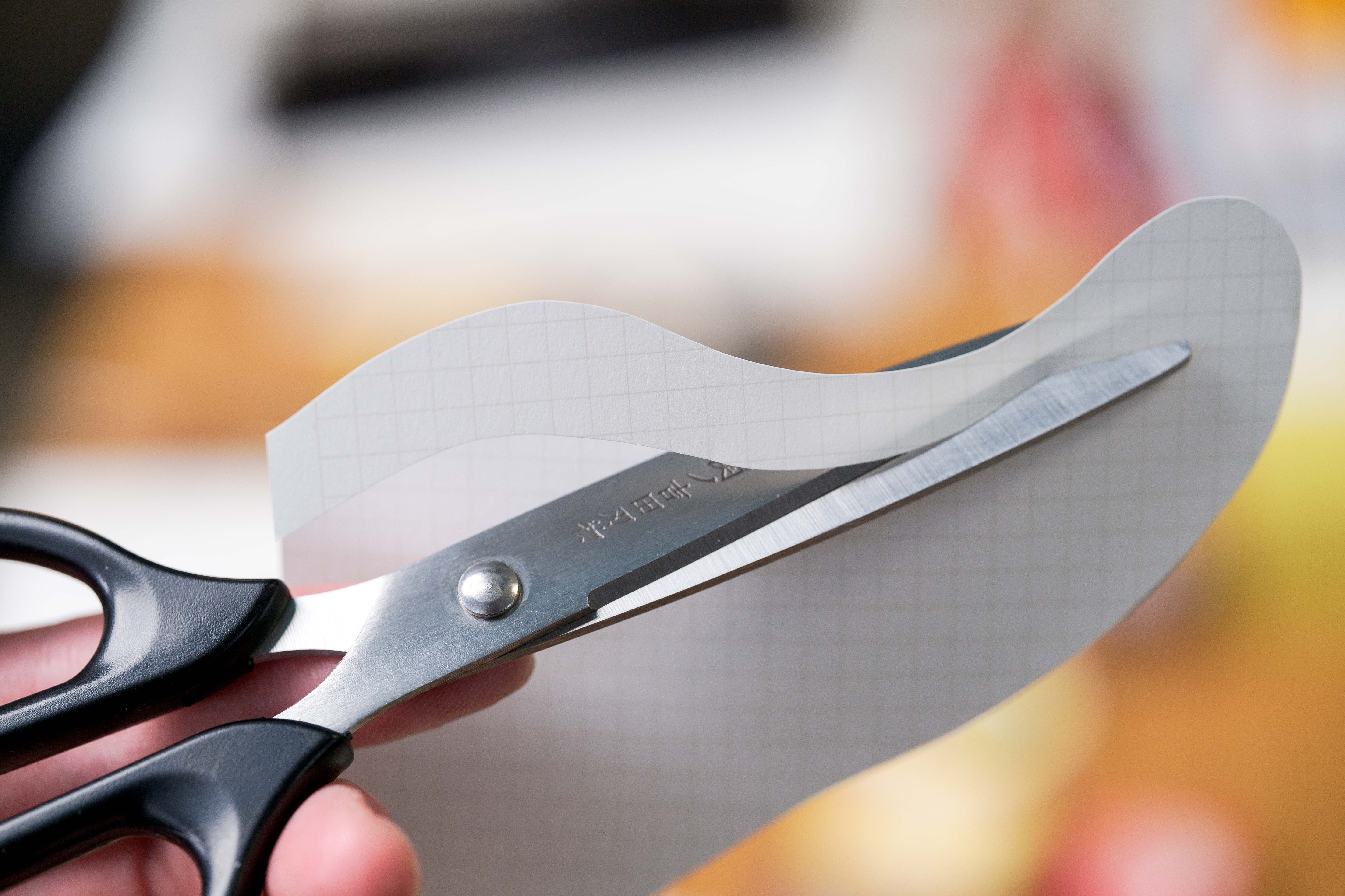 SS-13 Stainless Steel Scissors