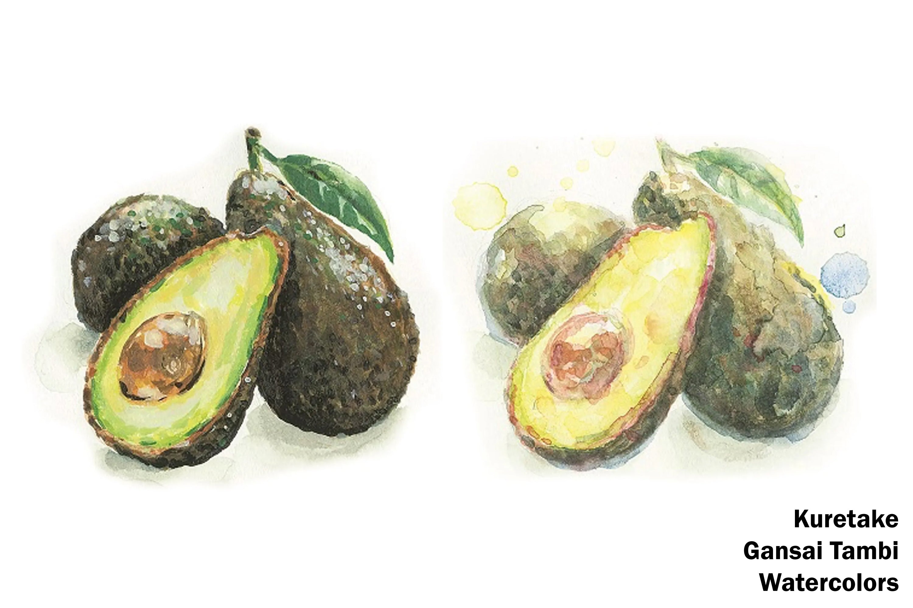 Gansai Tambi Watercolors, Classic Set of 12