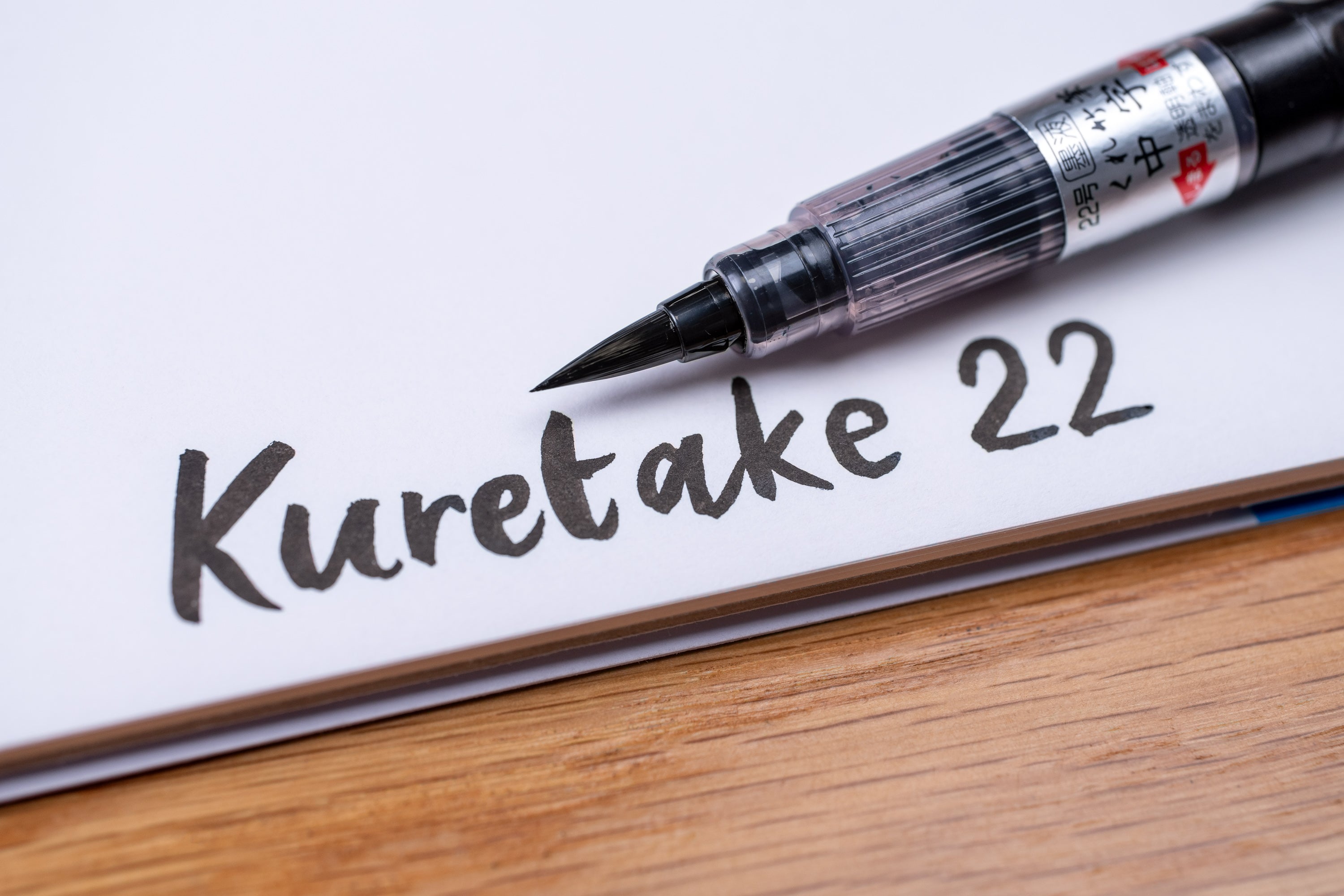 Chuji Fude #22 Brush Pen