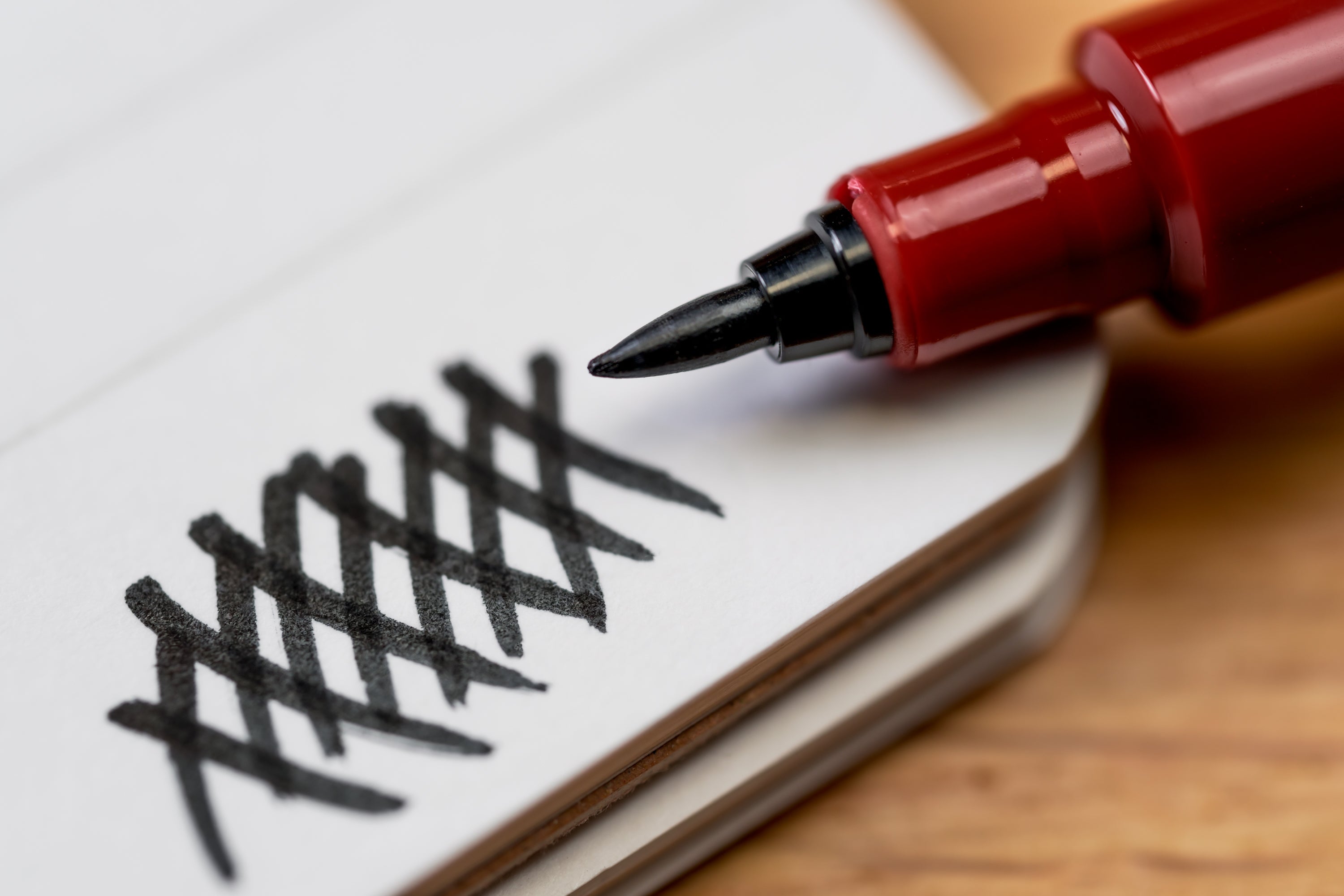 #45 Firm Fine Brush Pen