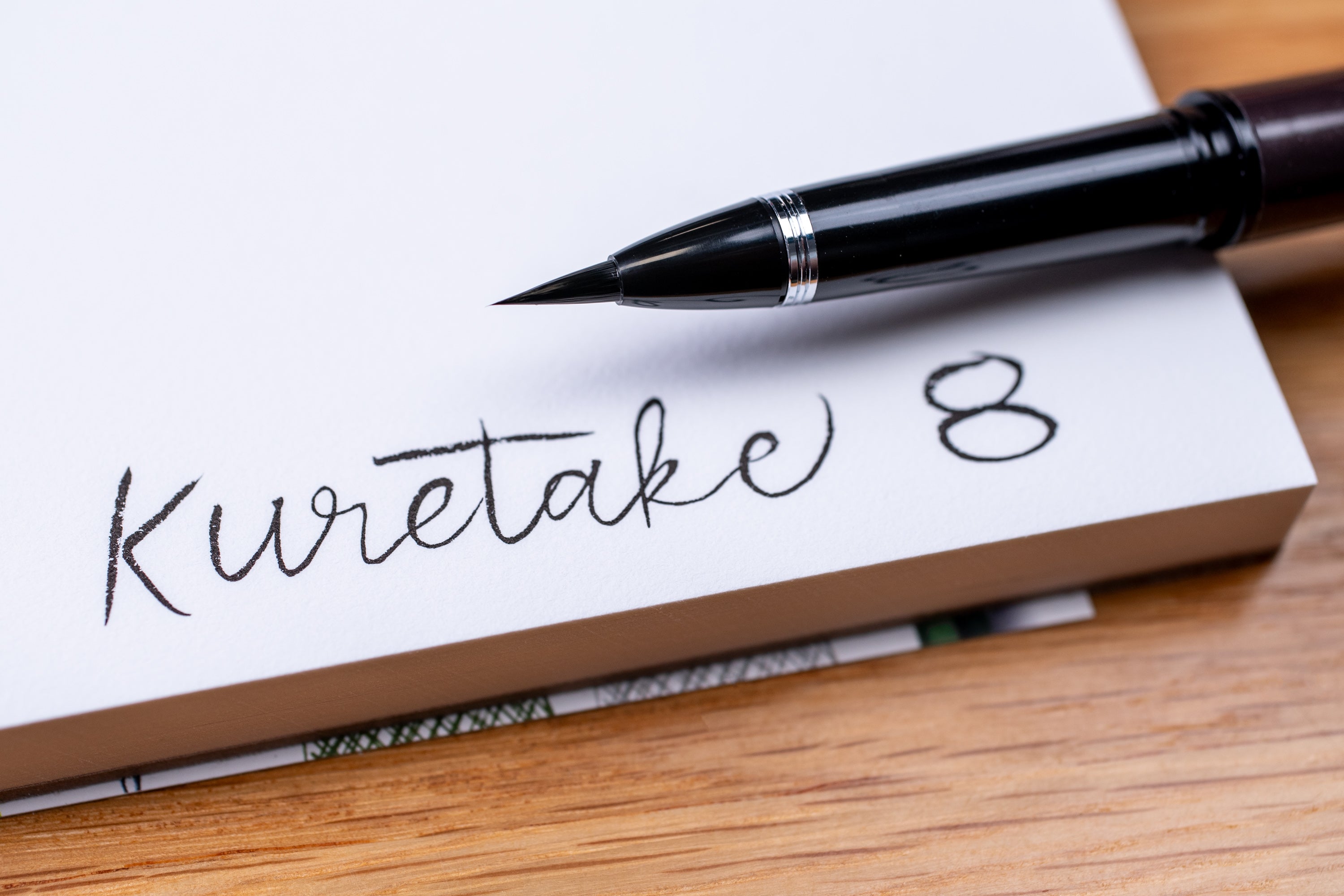 Mannen Mouhitsu #8 Brush Tip Fountain Pen