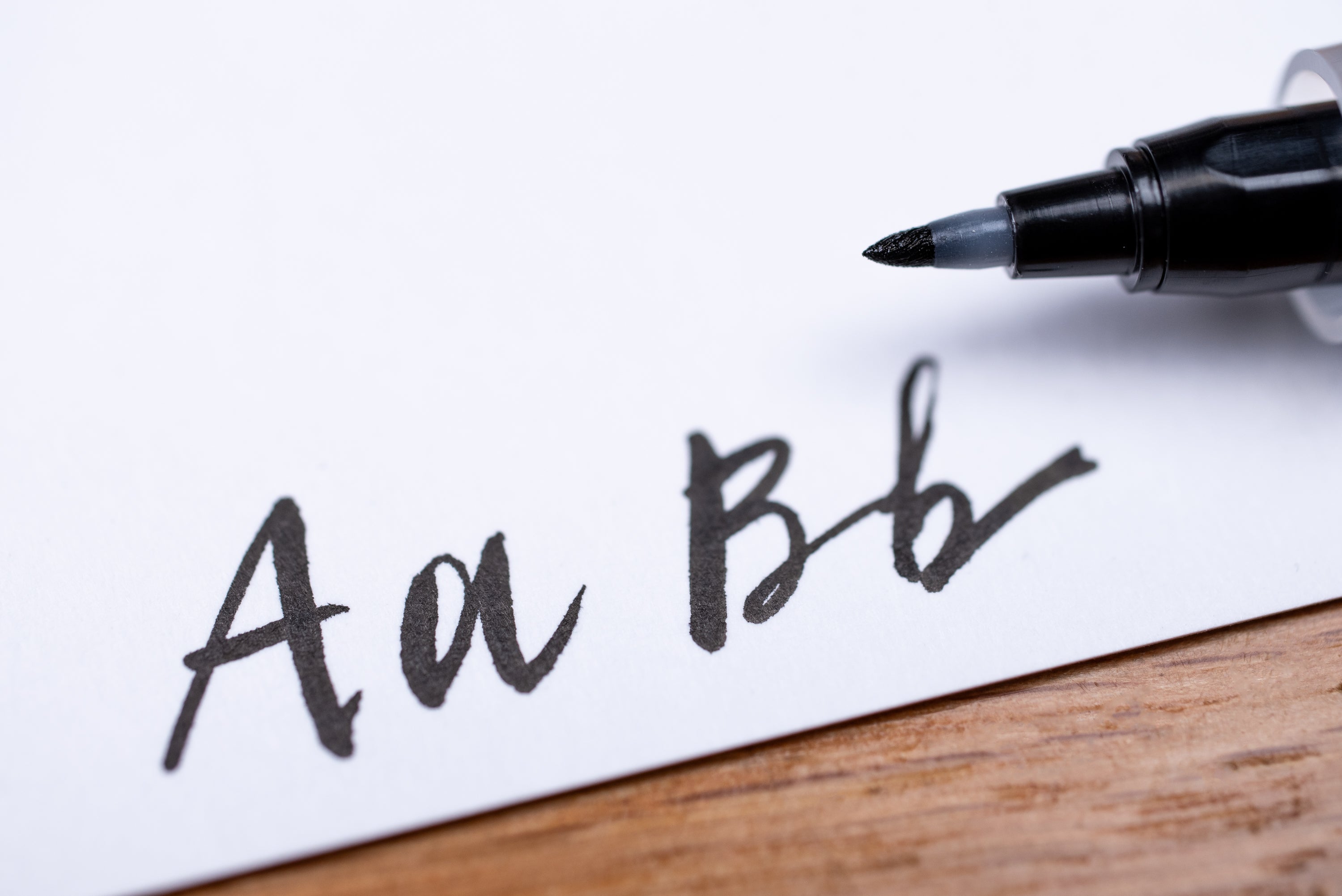 Fudegokochi Fine Brush Pen