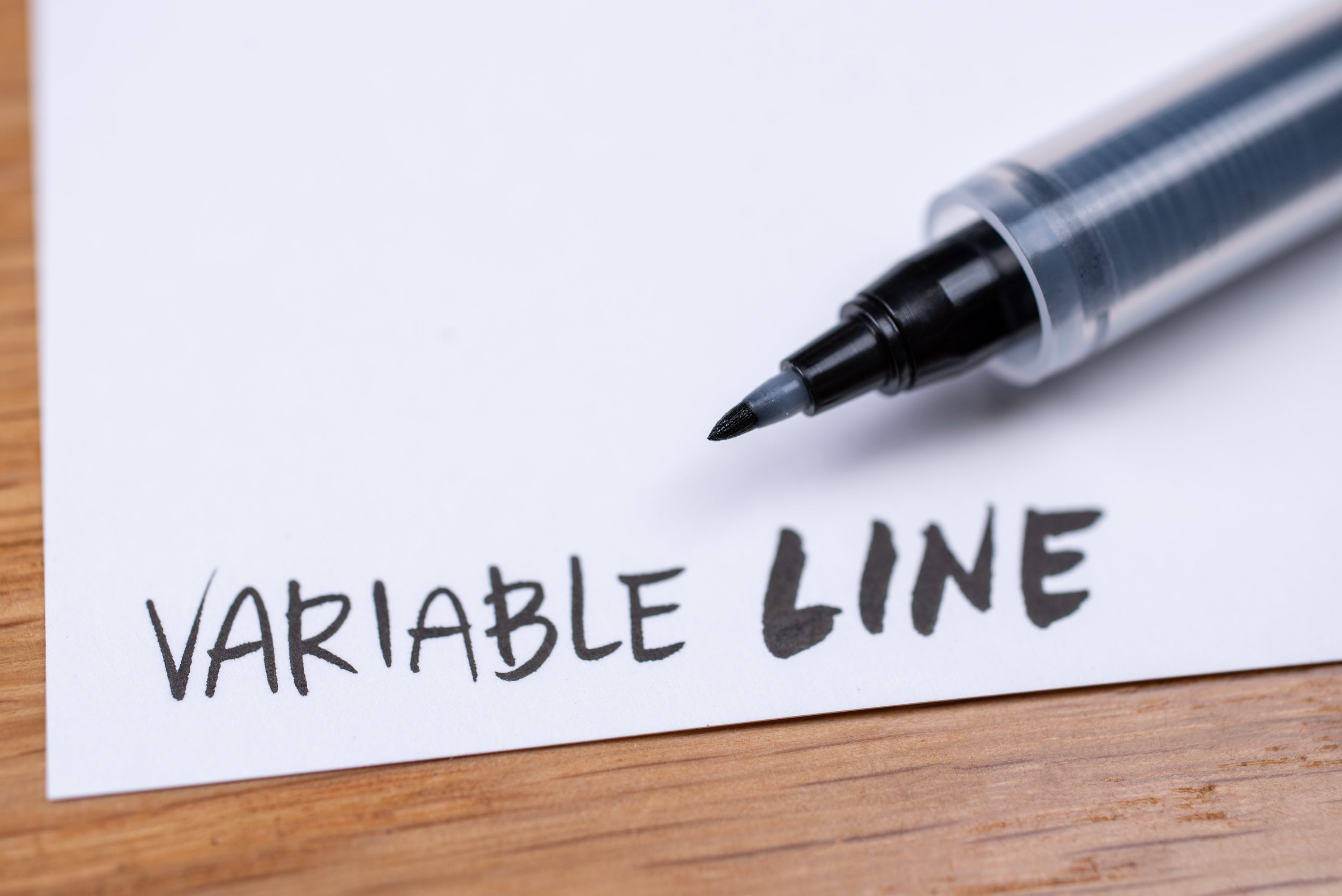 Fudegokochi Fine Brush Pen