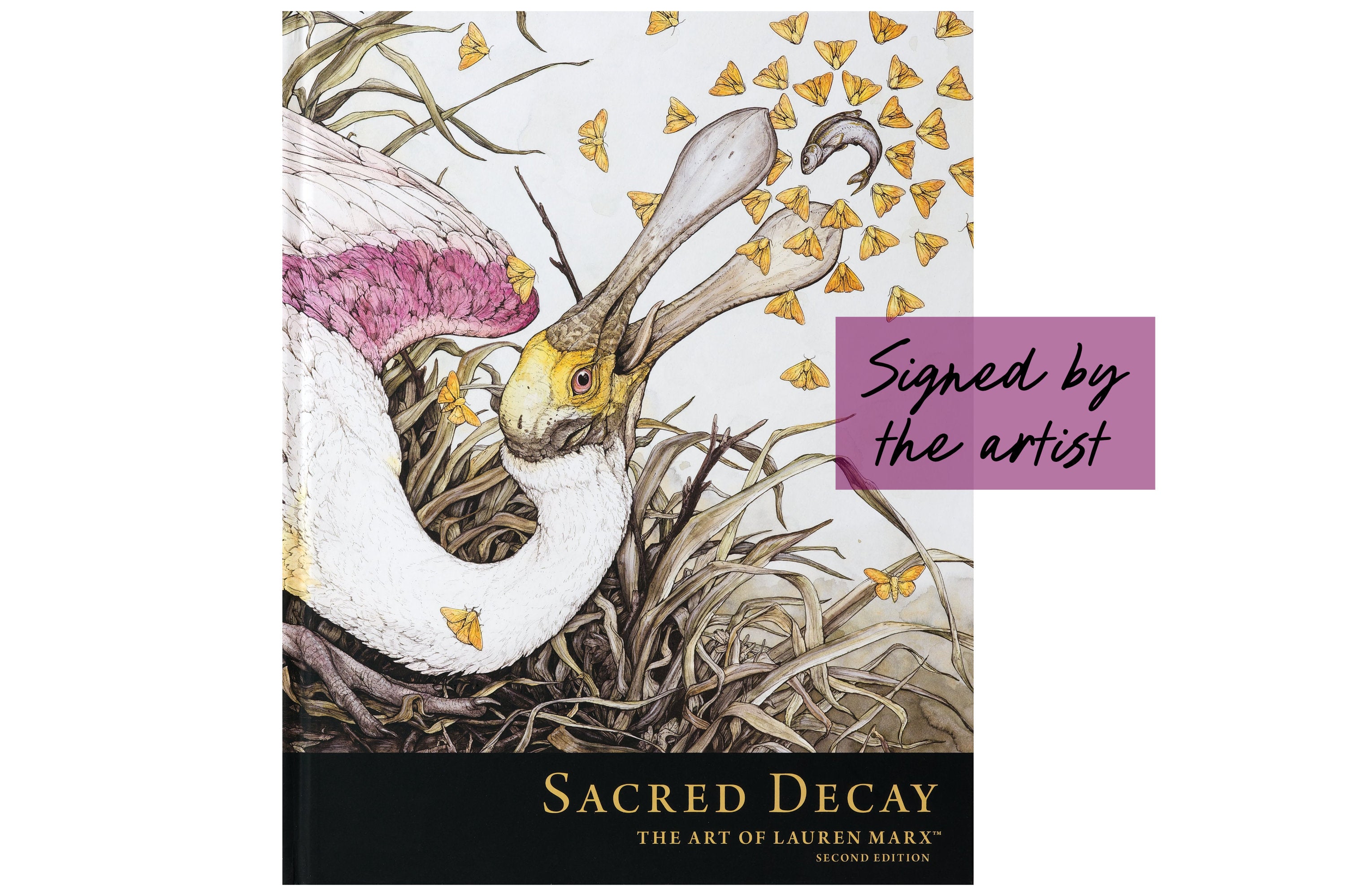 Sacred Decay: The Art of Lauren Marx (Signed Copy)