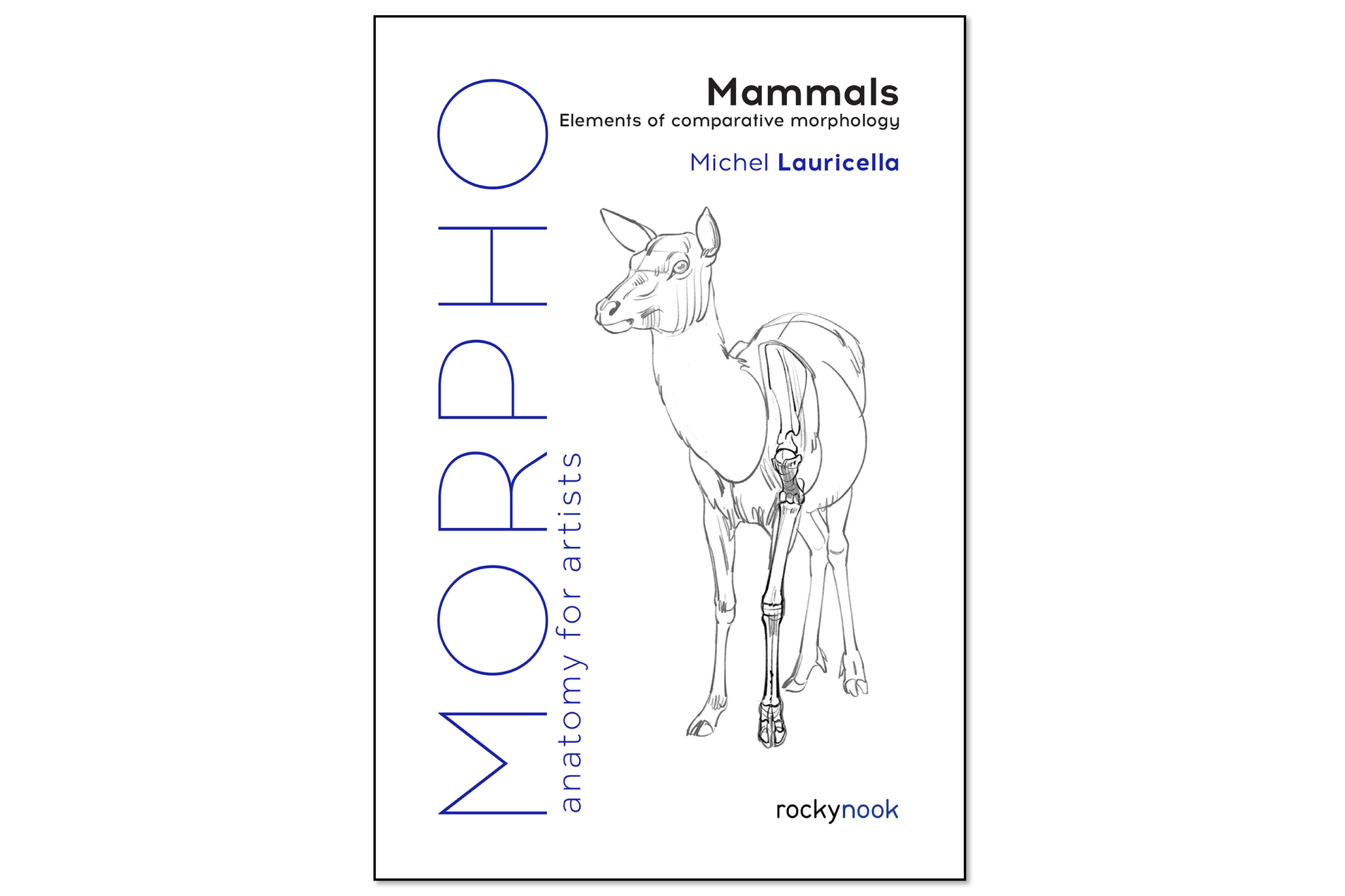 Morpho Anatomy Handbooks: Mammals