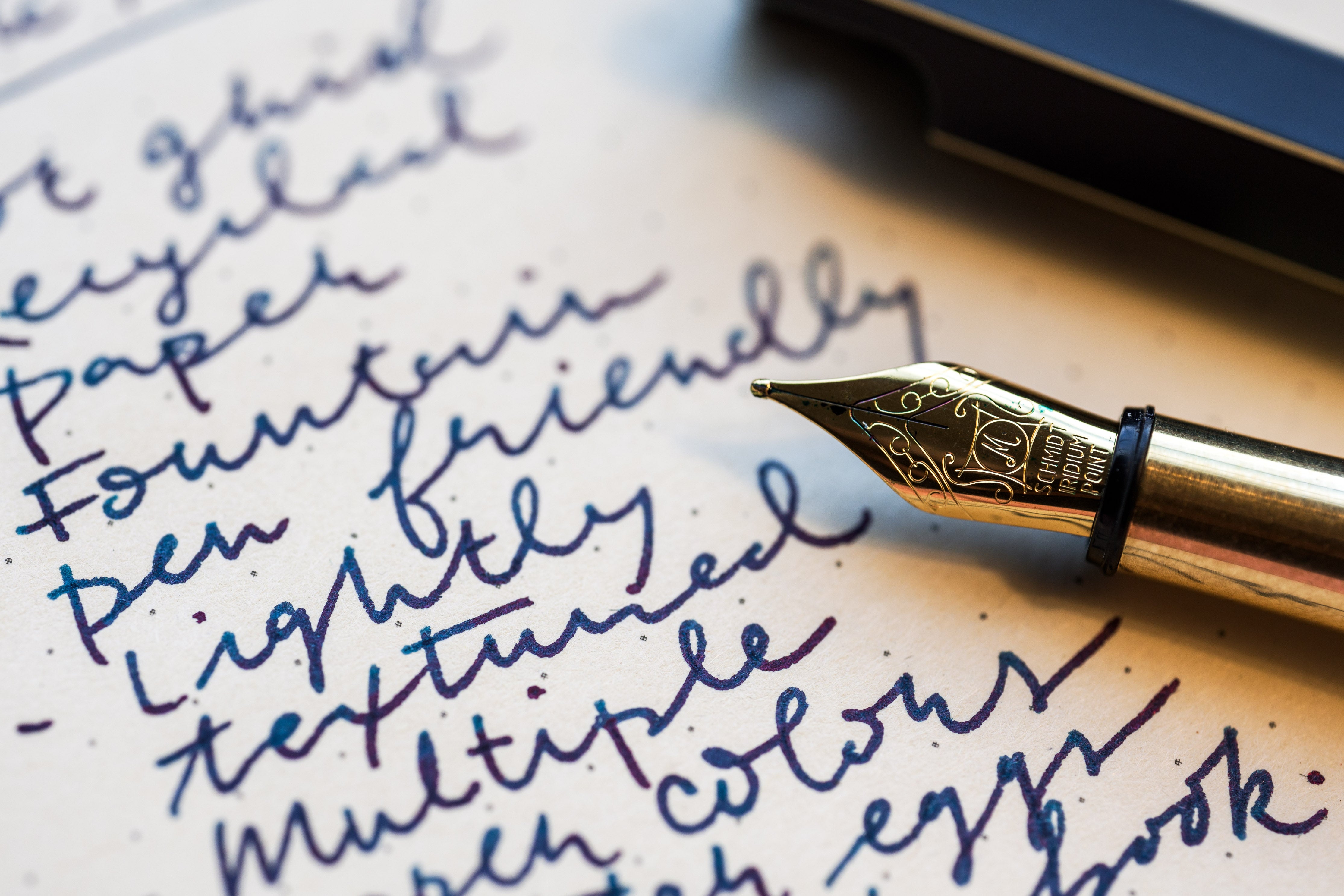 Papier Tigre Notebook, A5 (Holi)