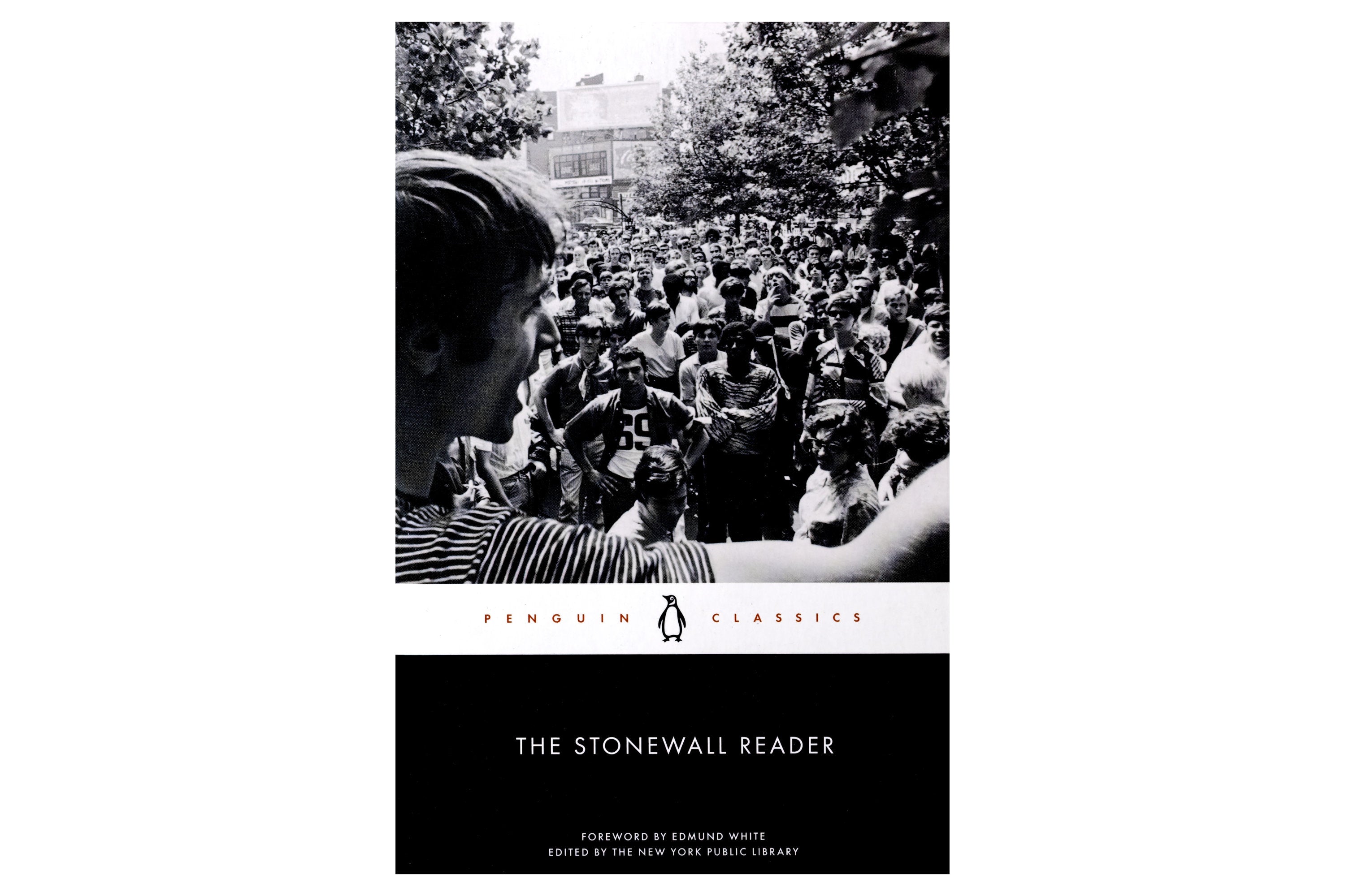 The Stonewall Reader