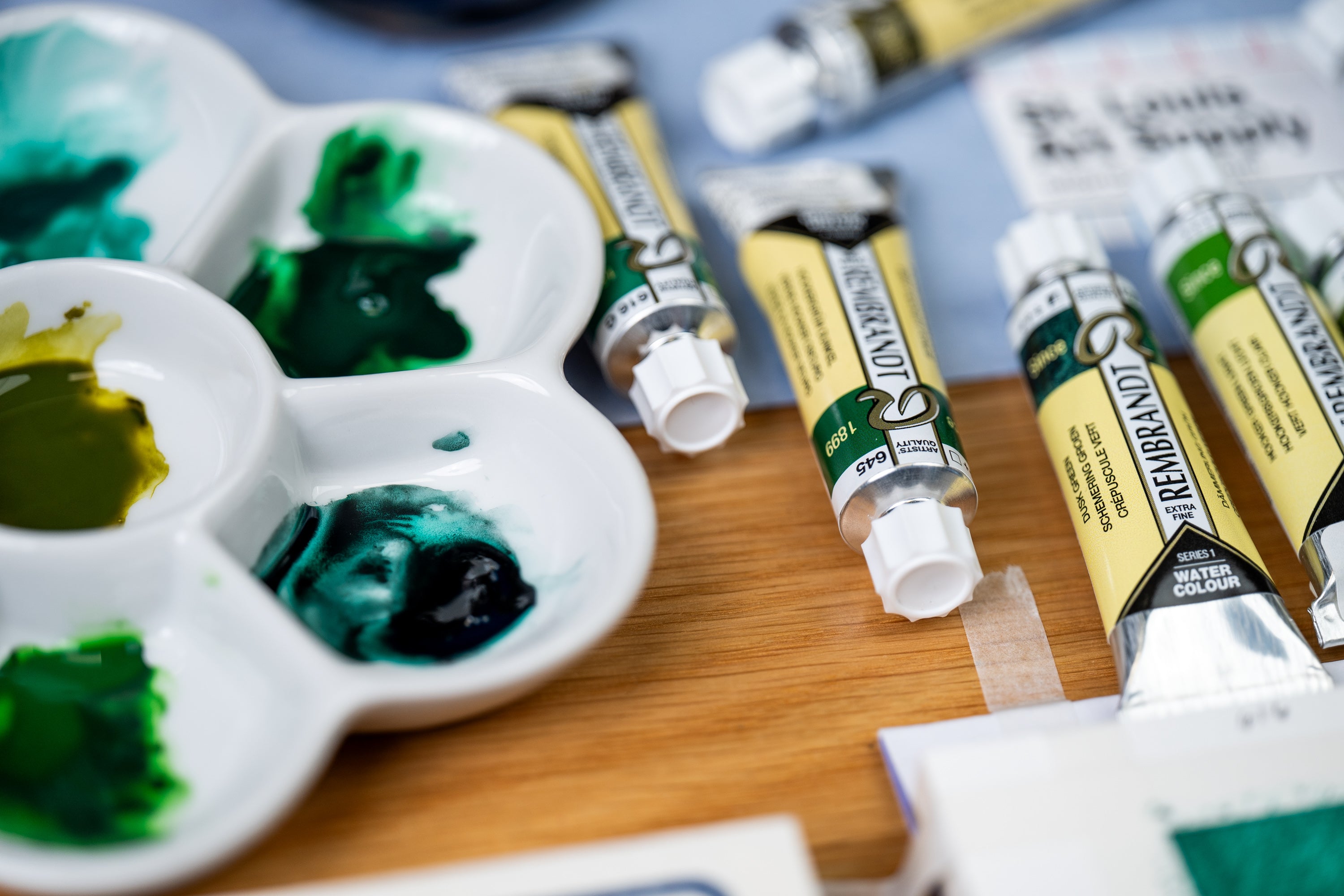 Rembrandt Watercolor, Monopigment Set of 12