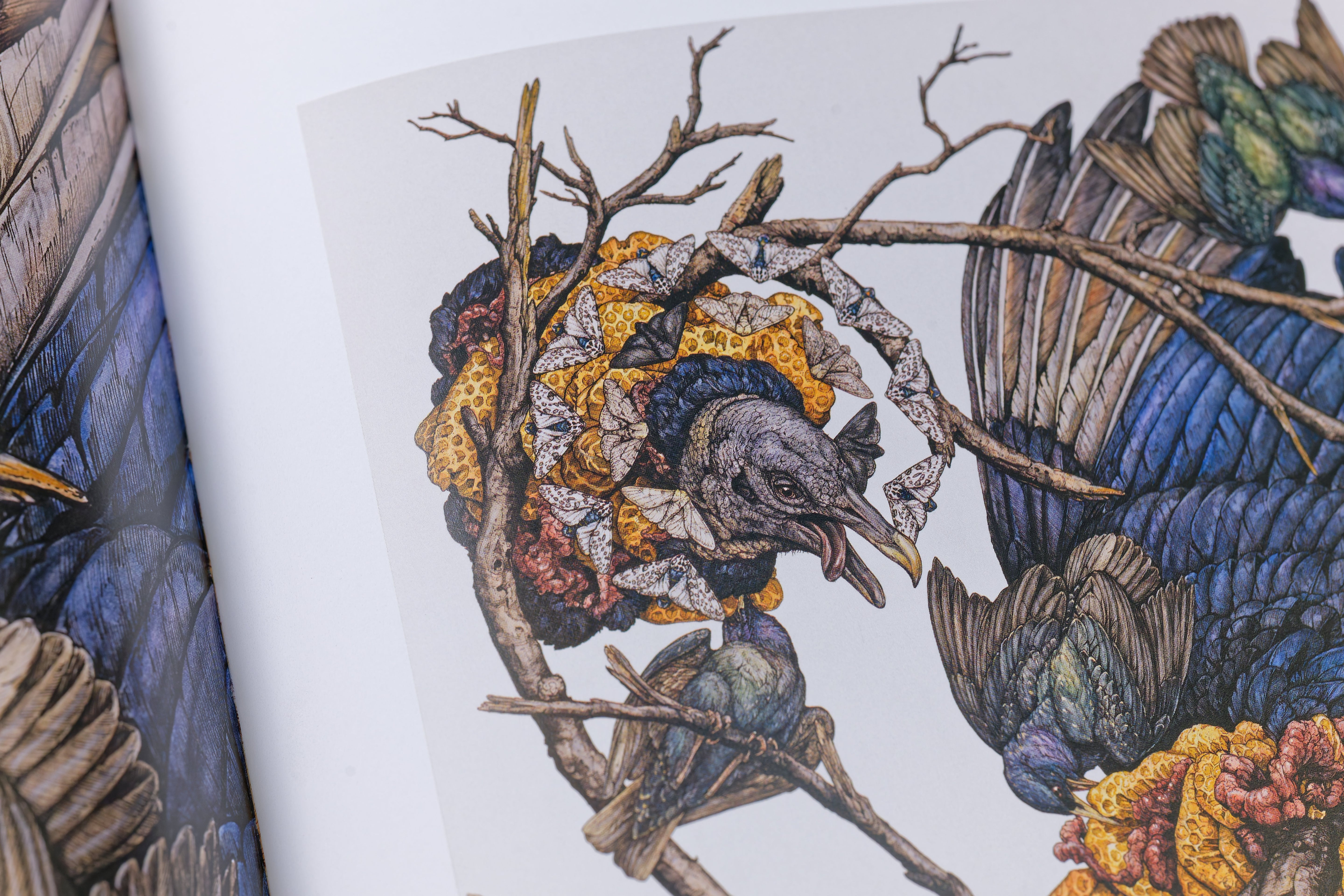 Sacred Decay: The Art of Lauren Marx (Signed Copy)