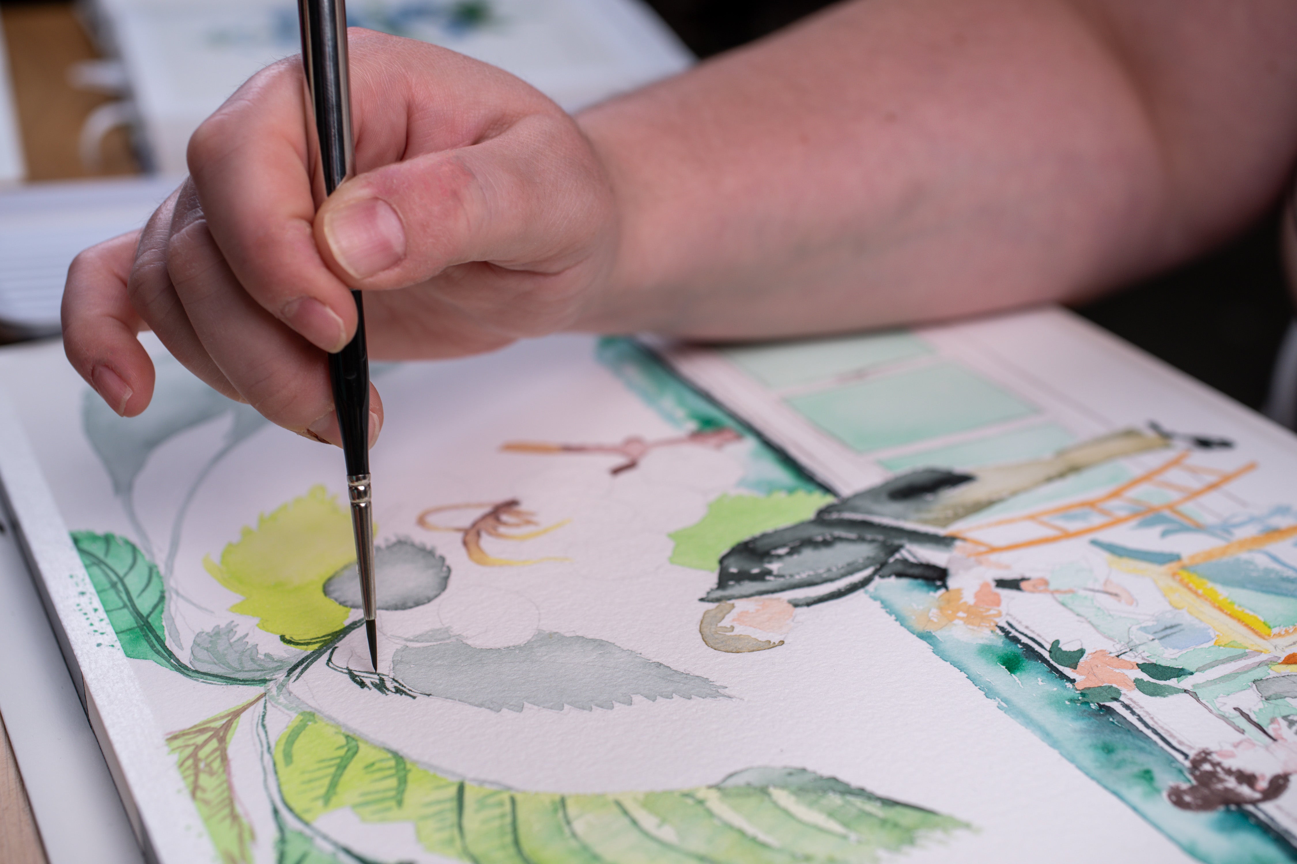 Horadam Watercolors, Floral Set of 12