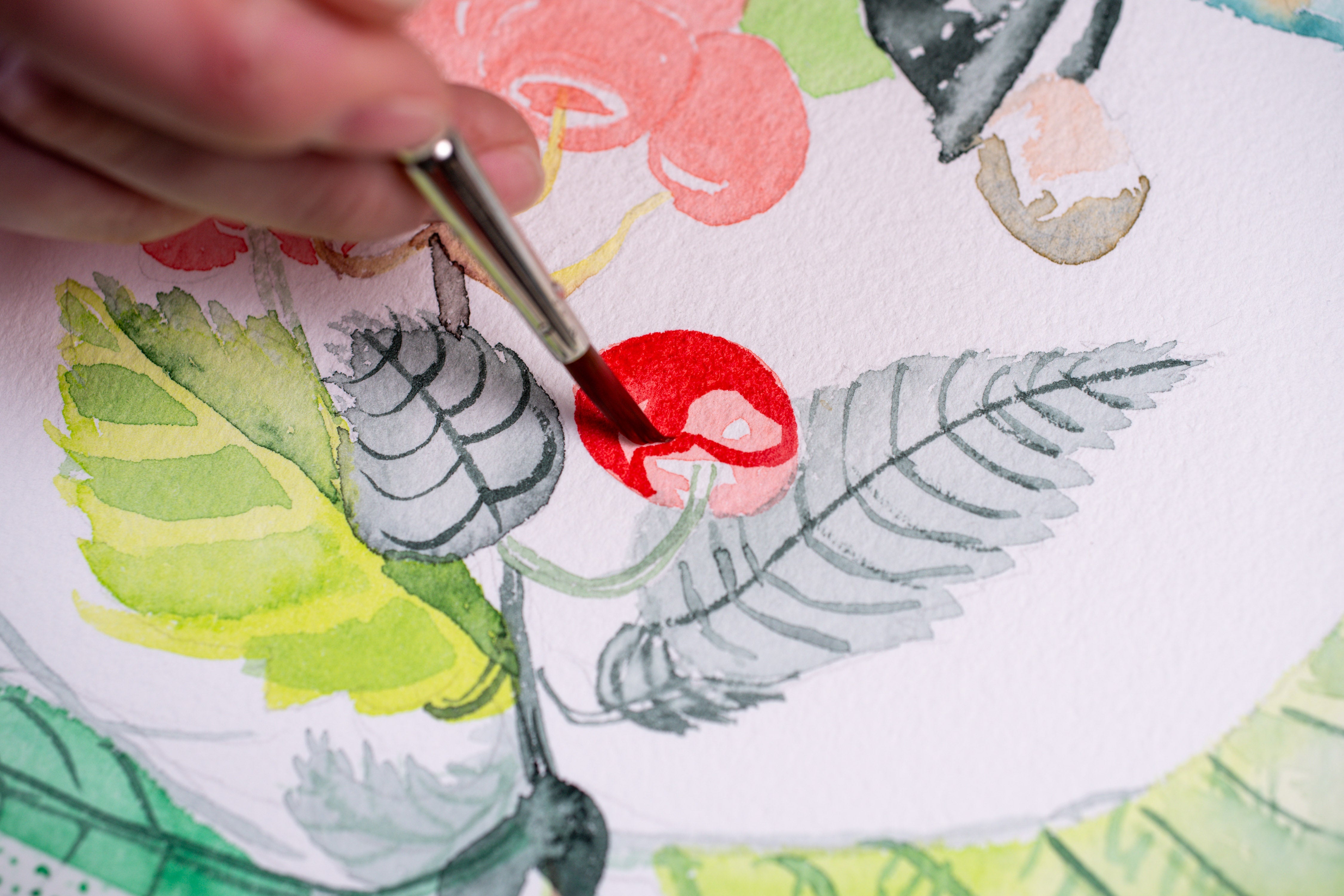 Horadam Watercolors, Floral Set of 12