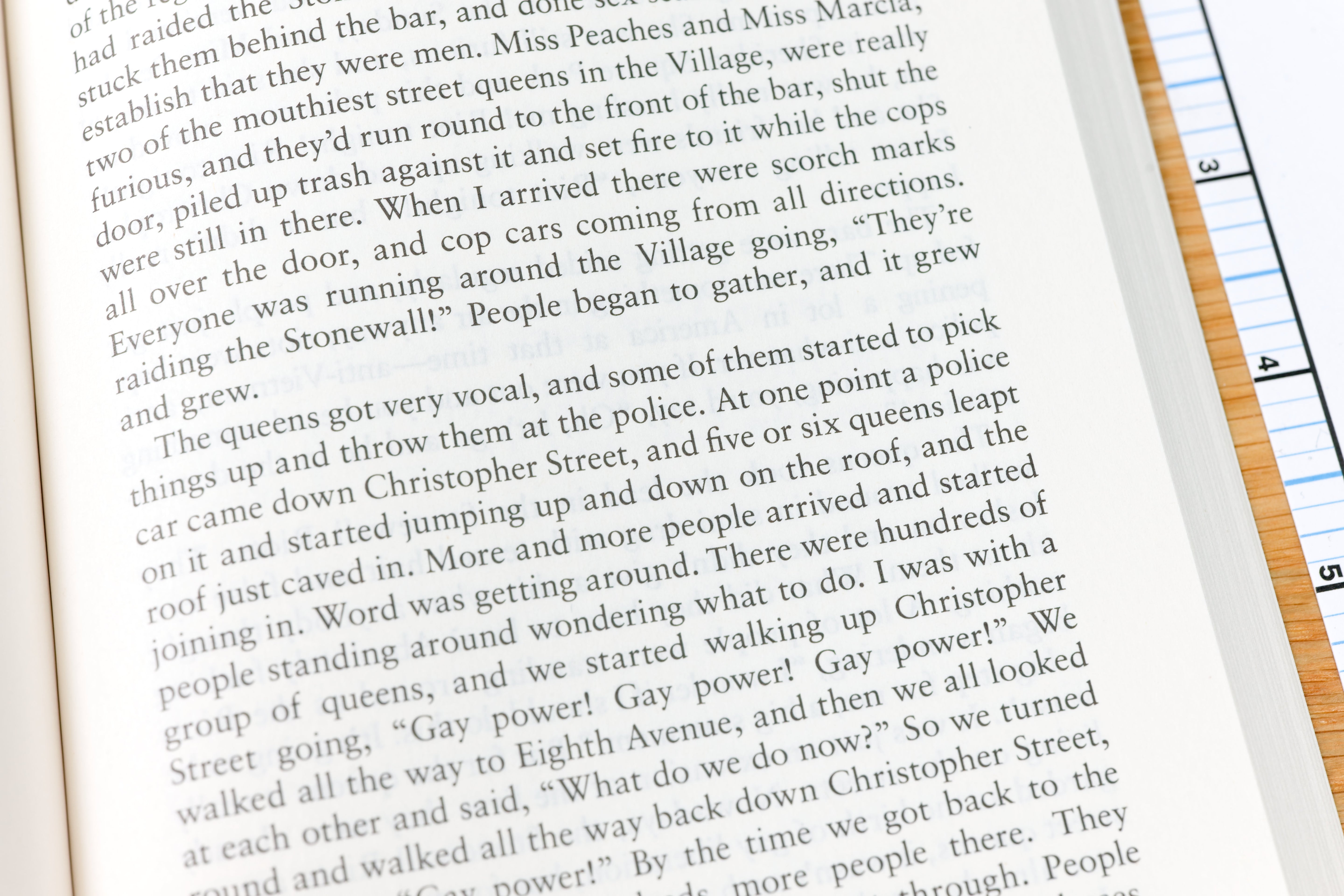 The Stonewall Reader