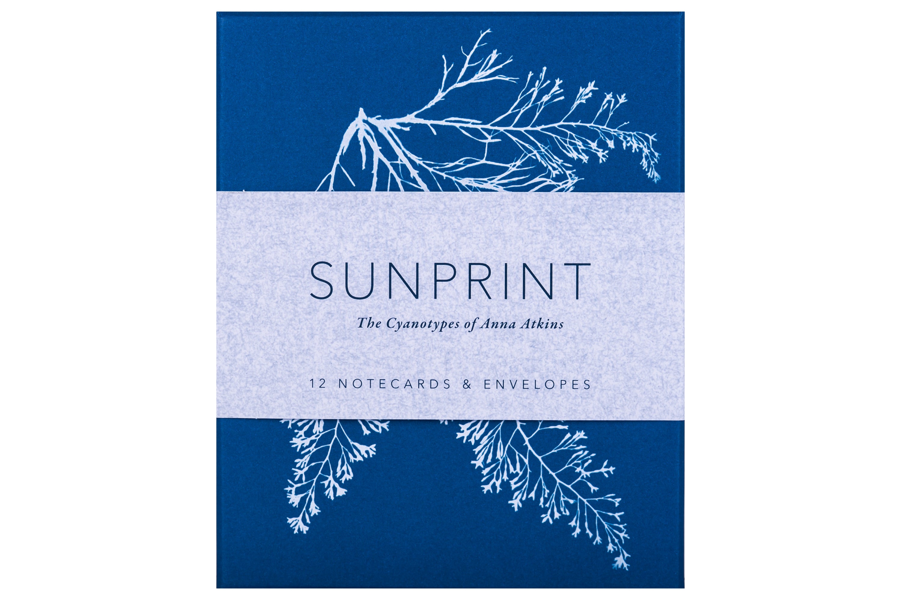 Sunprint Notecards