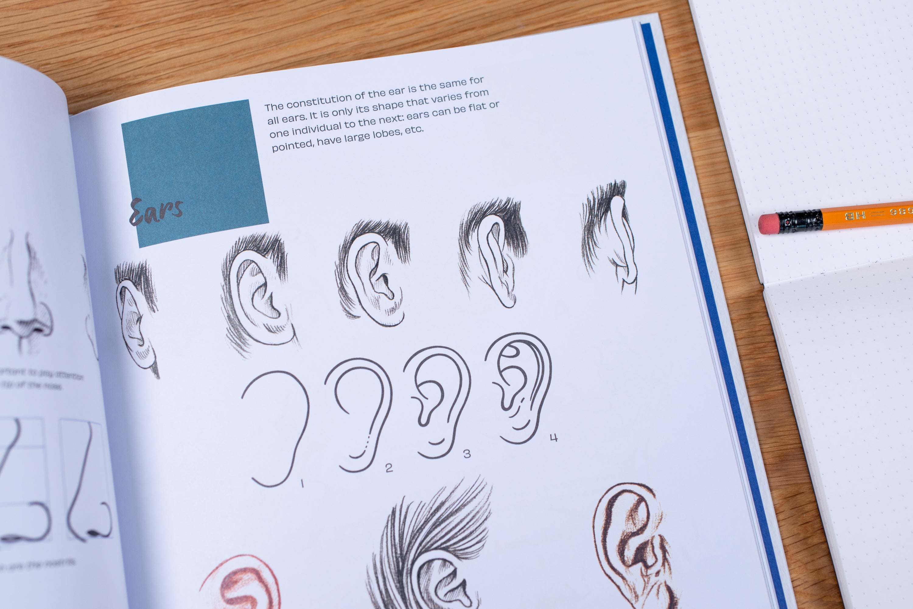 The Artist's Guide to Drawing People