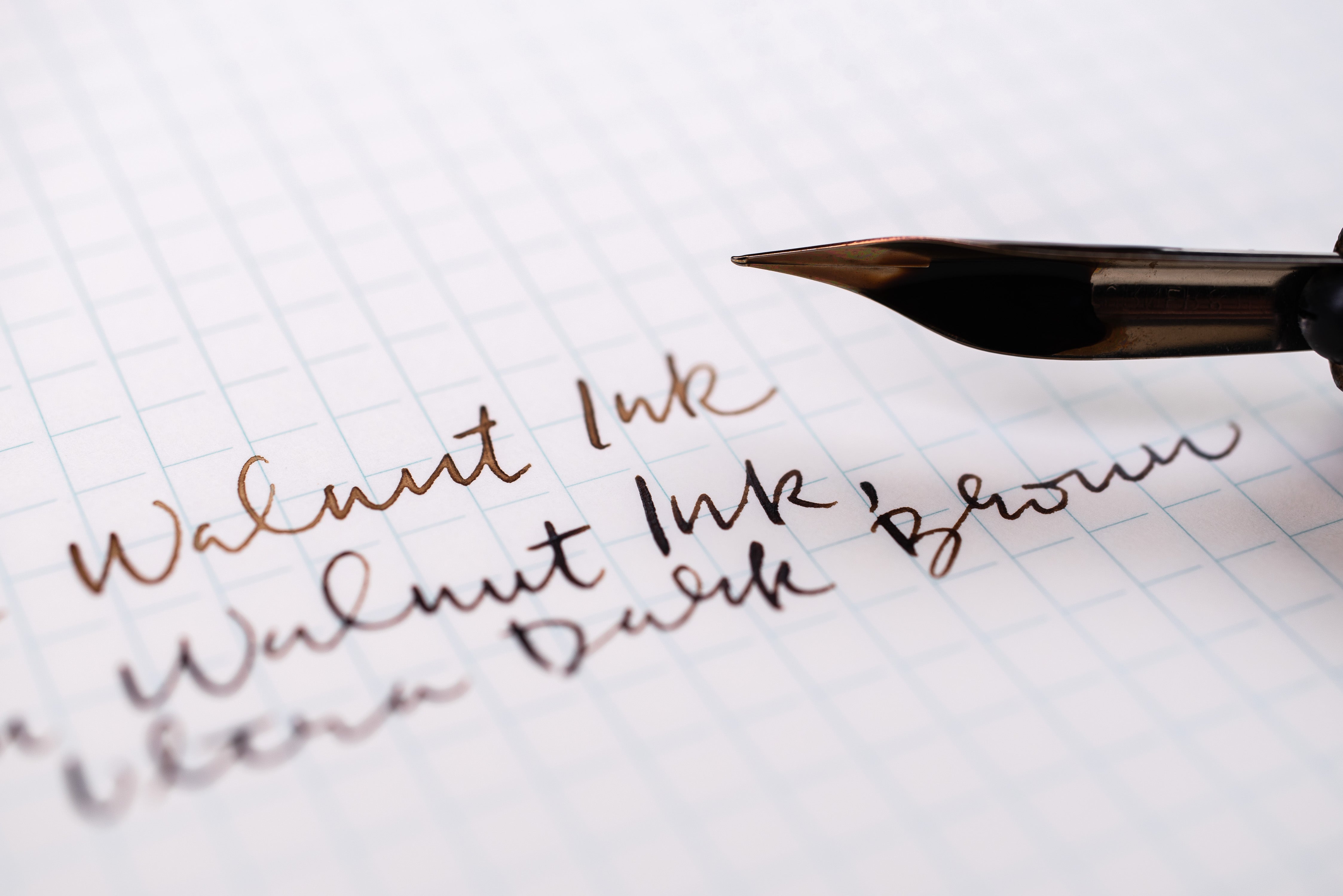 Tom Norton Walnut Ink