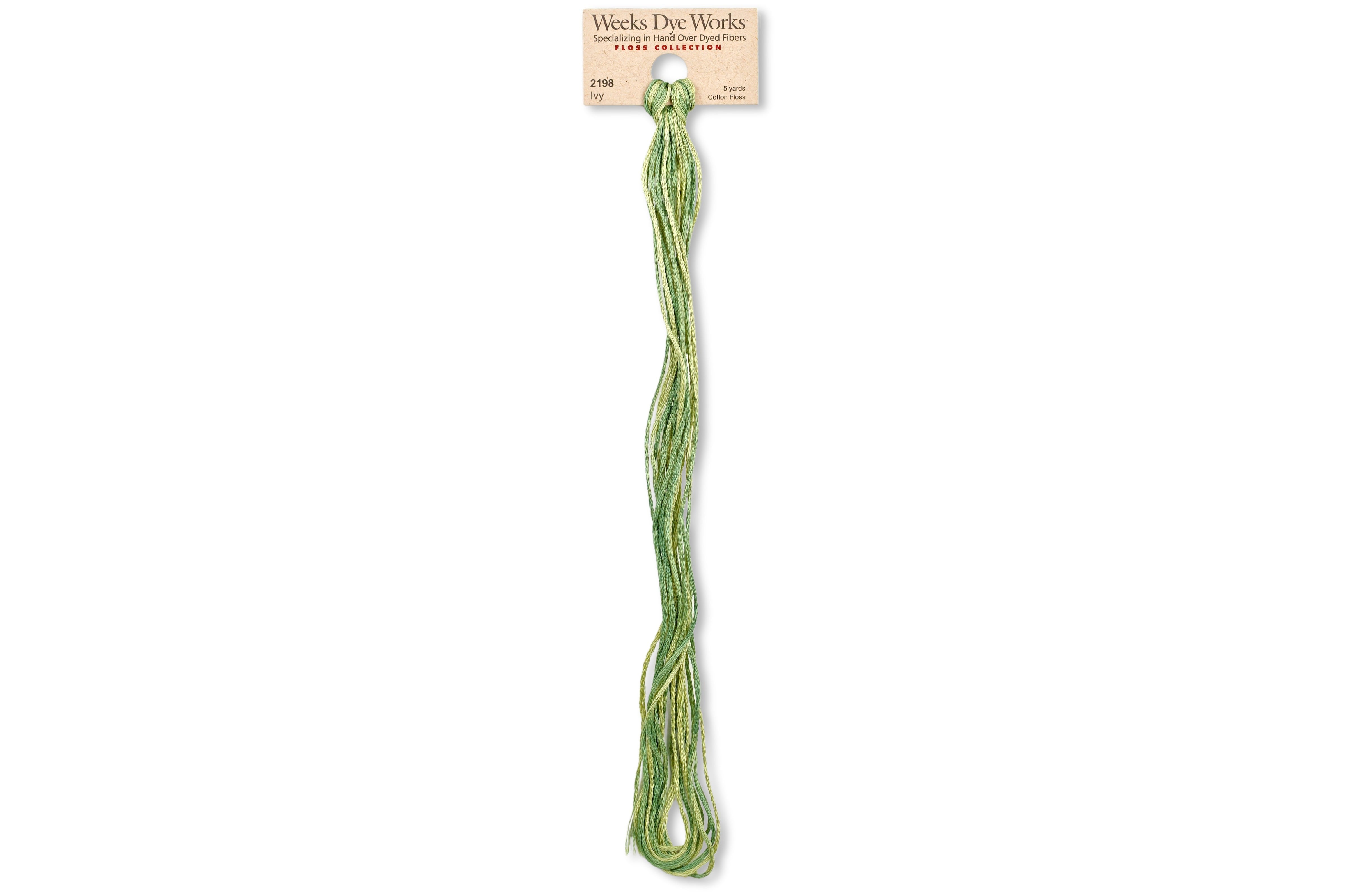 6-Strand Embroidery Floss, #2198 Ivy