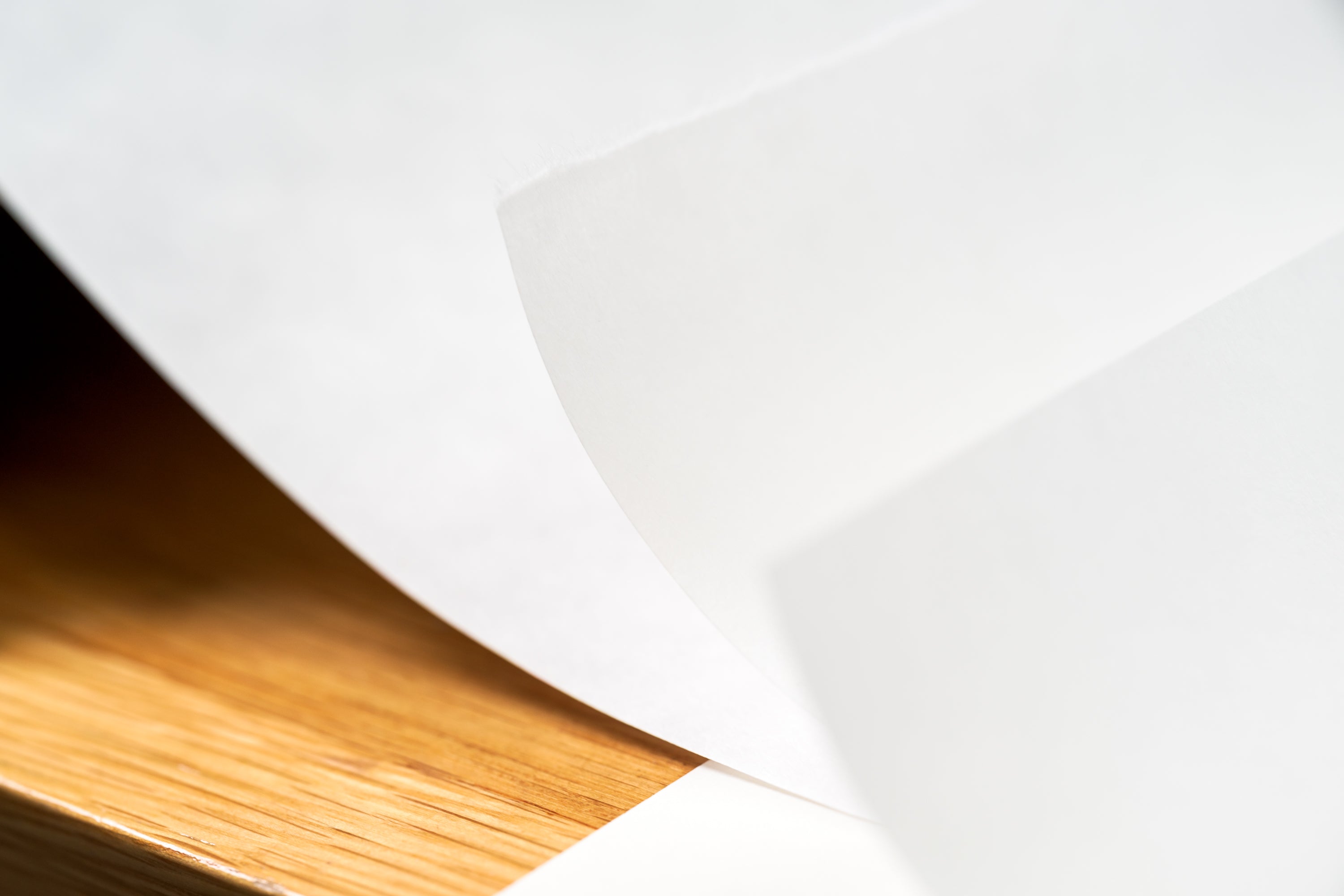 Hosho Paper Roll, 8" x 20 ft.