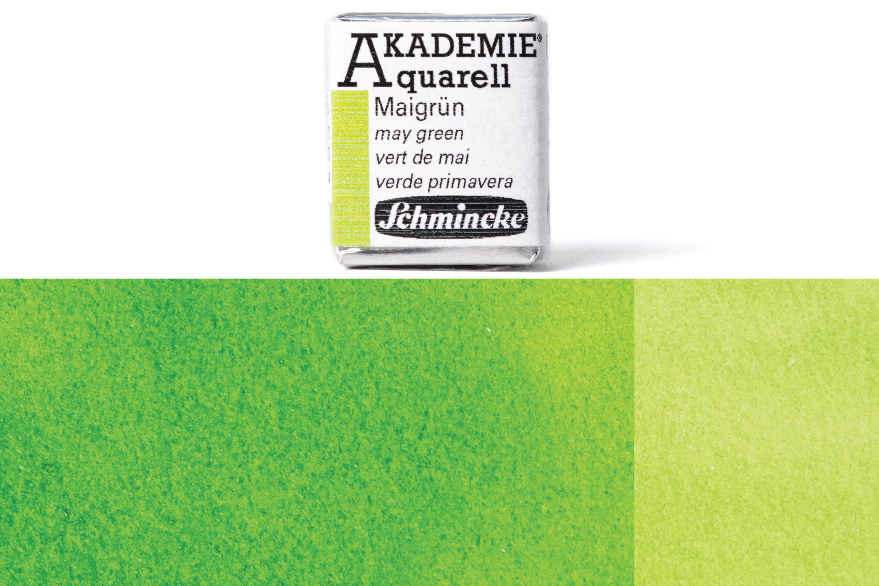 Schmincke - Akademie Watercolor Half Pan, #552 May Green - St. Louis Art Supply